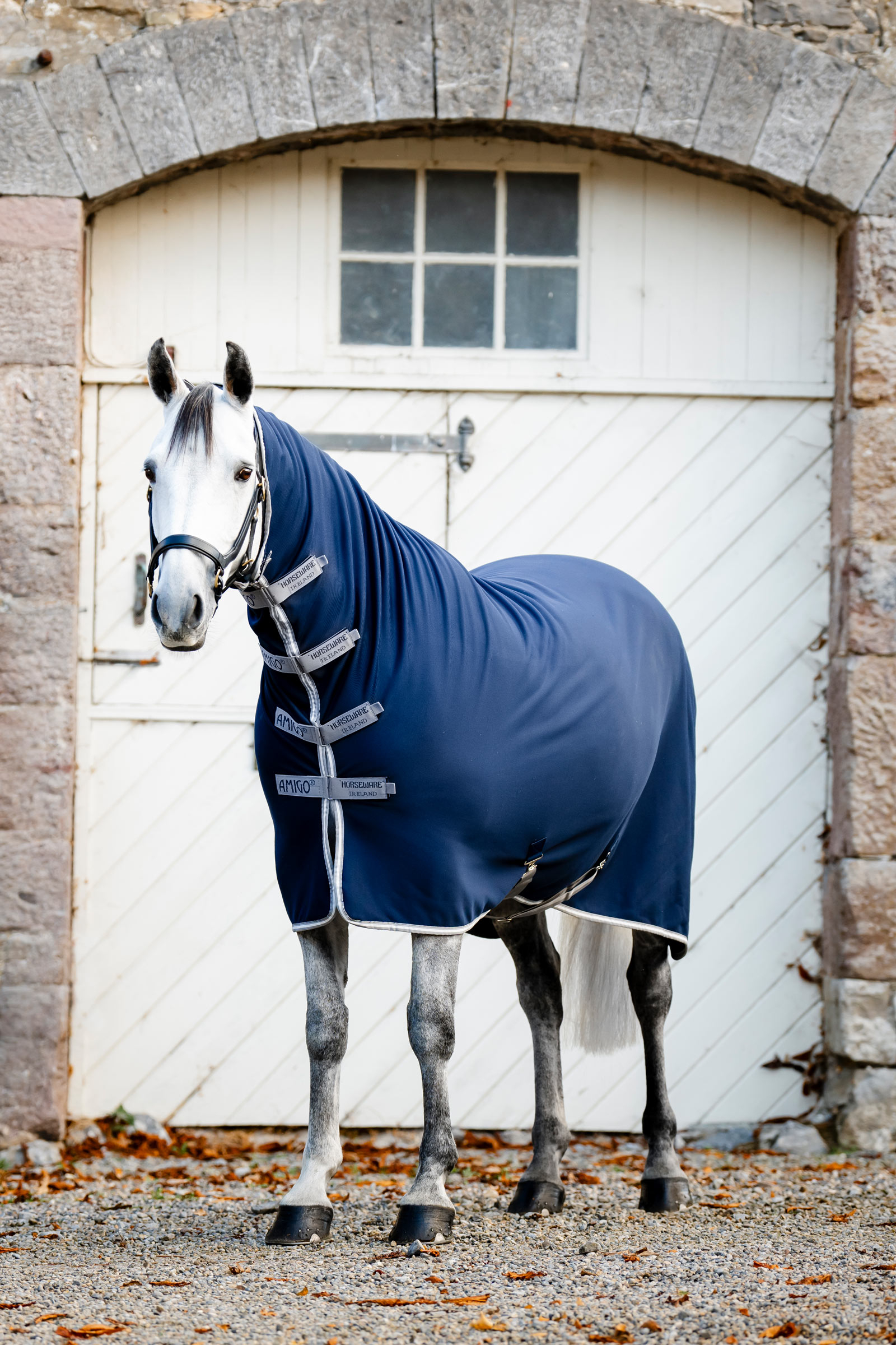 Horseware Amigo Jersey -integroitu Siisti matto