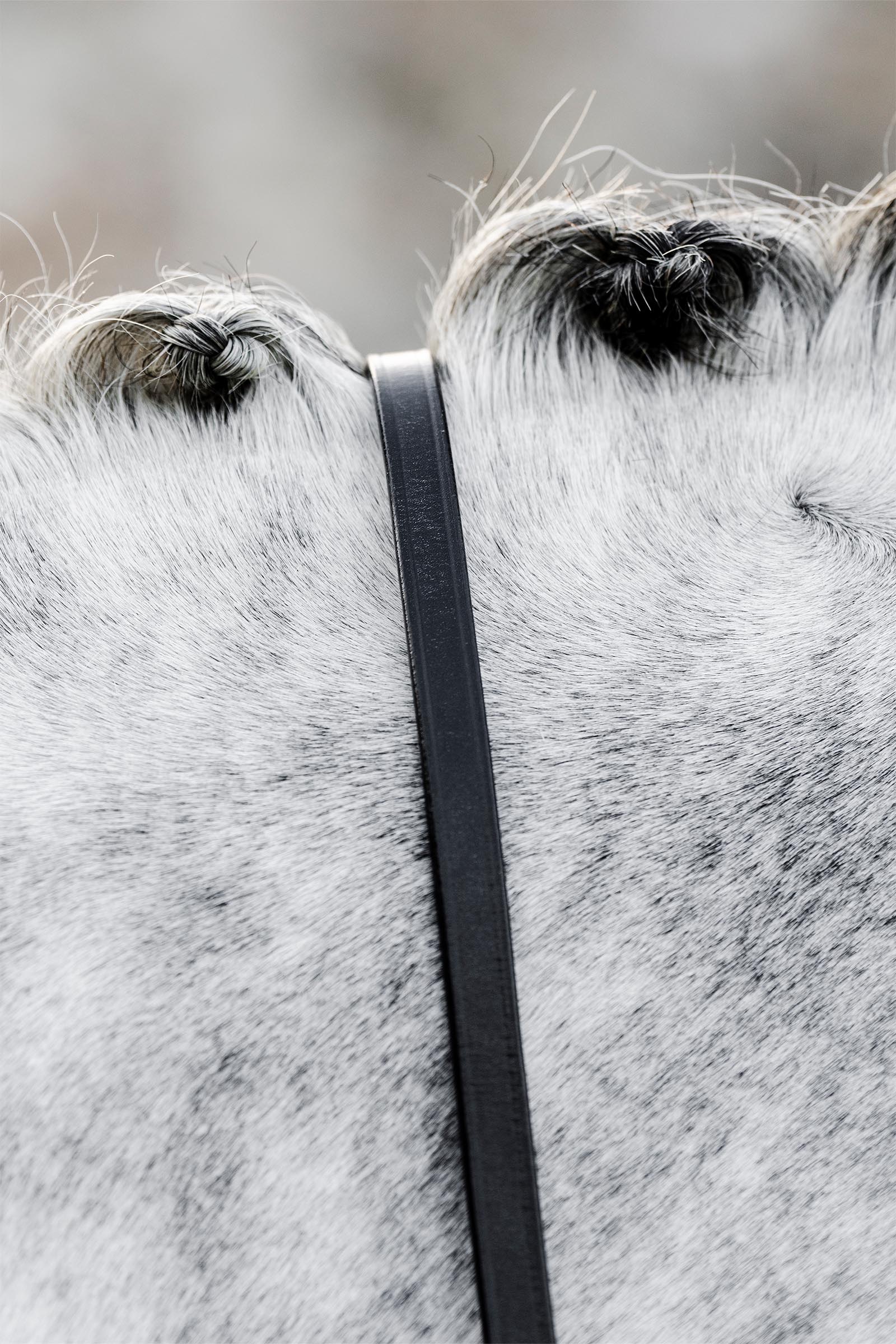 Horseware kandaariohjat