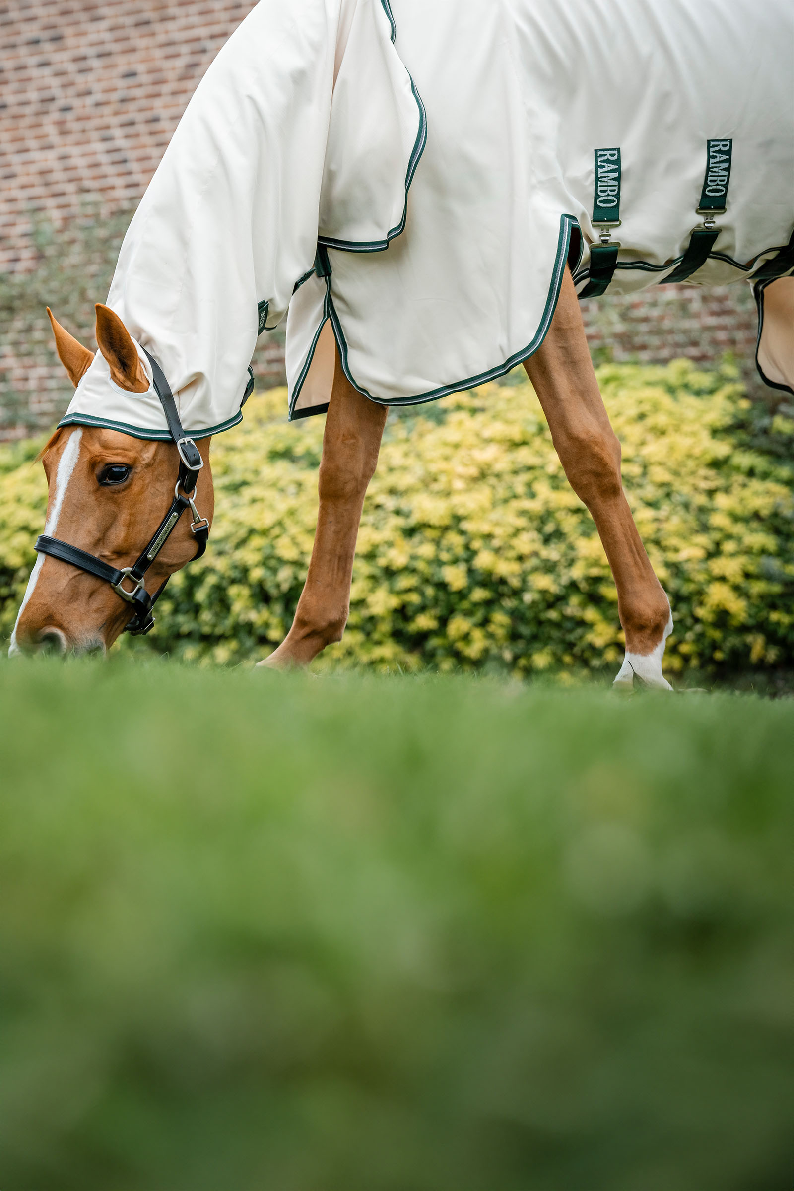 Horseware Rambo Hoody hy&ouml;nteisloimi kaulakappaleella