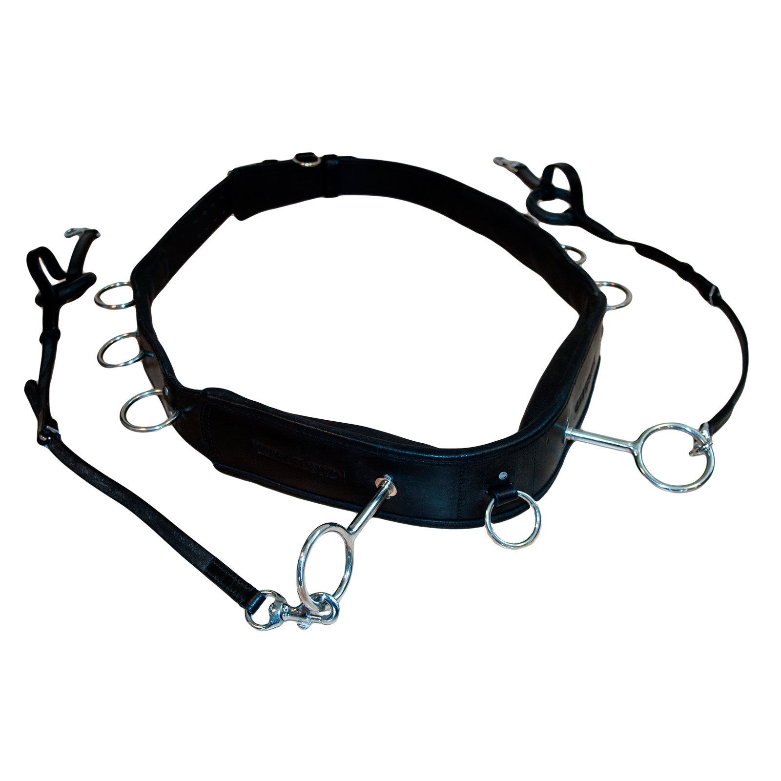 Karlslund Juoksutusvy&ouml;