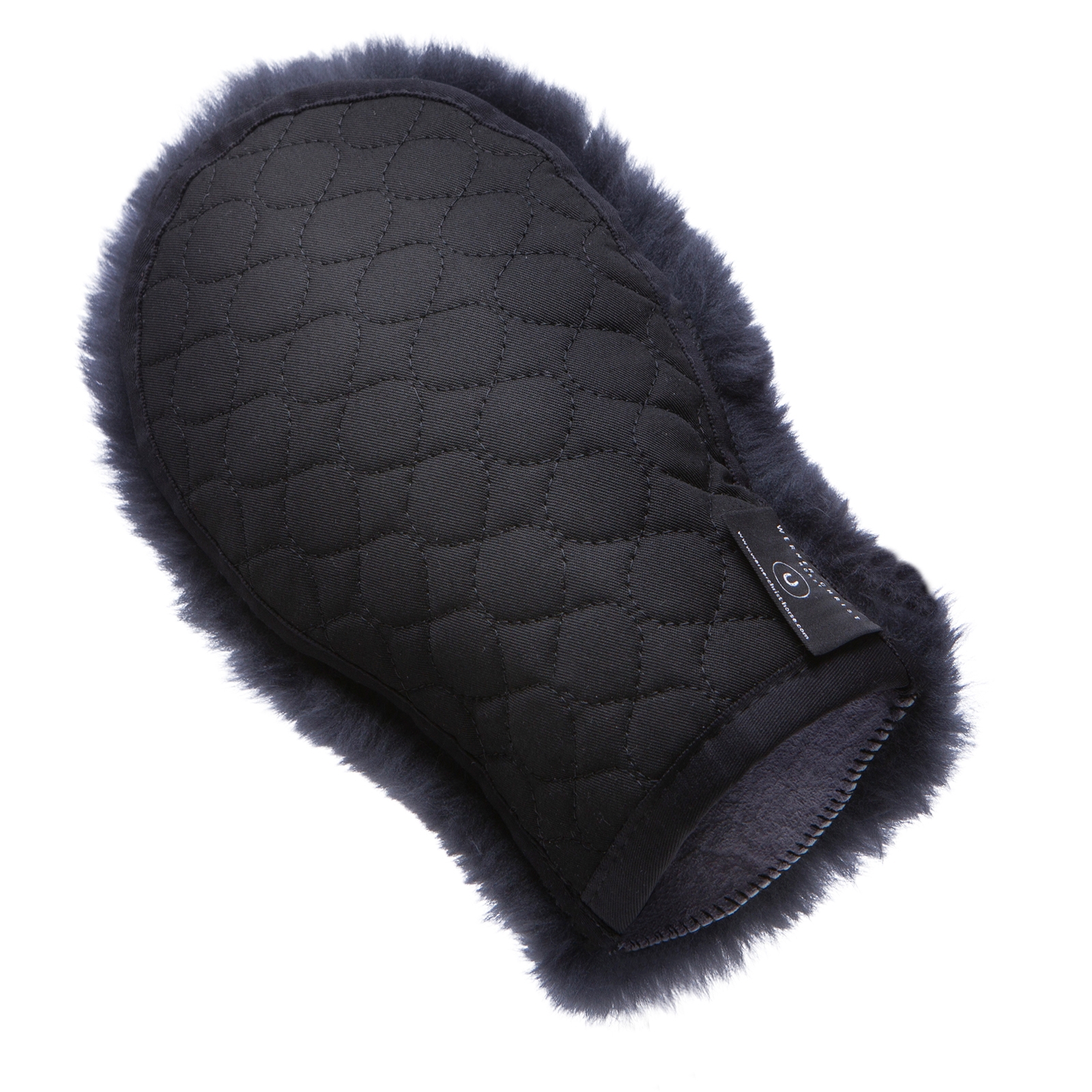 Christ Puhdistushanska Universal