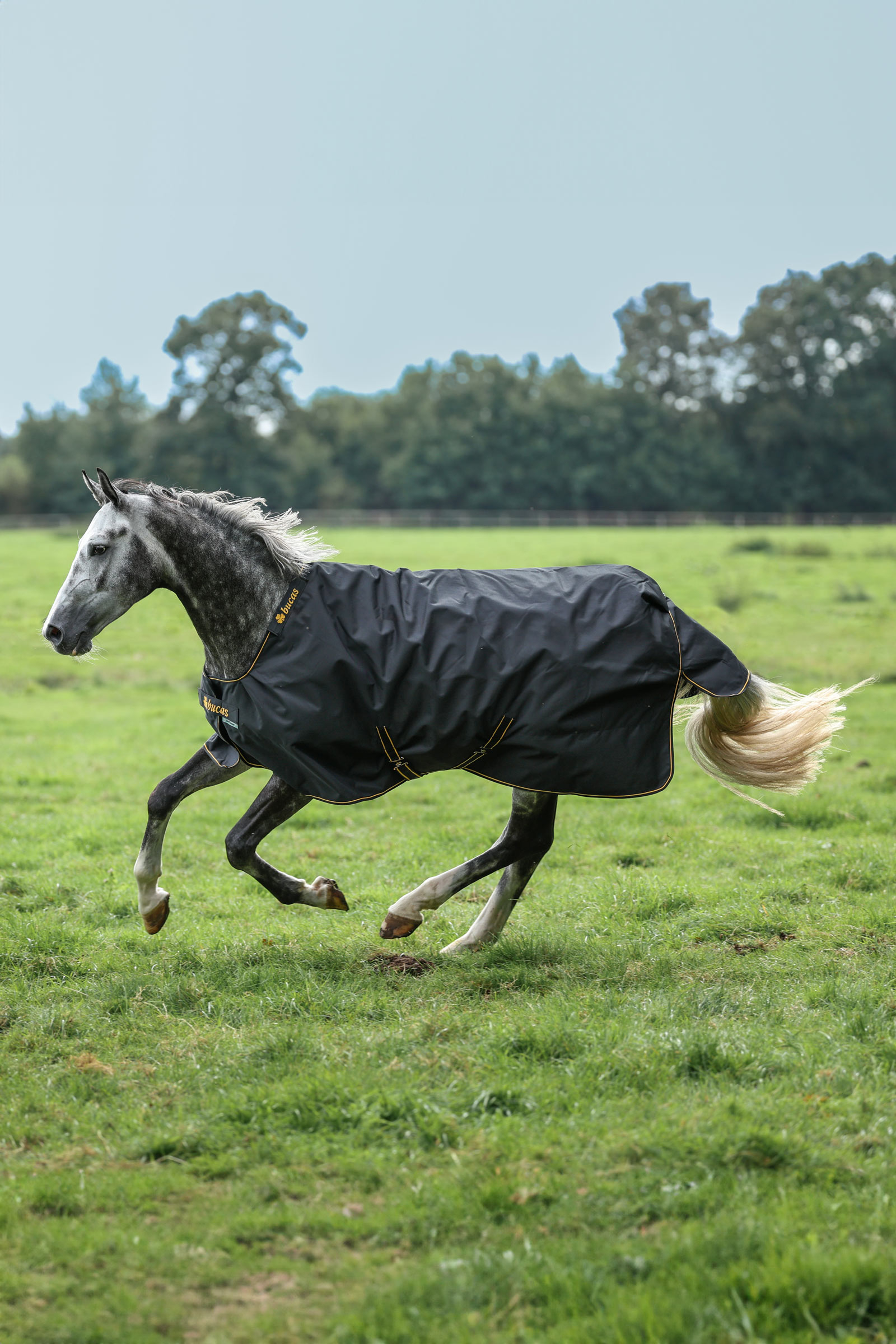 Bucas Irish Pony ulkoloimi, 50g