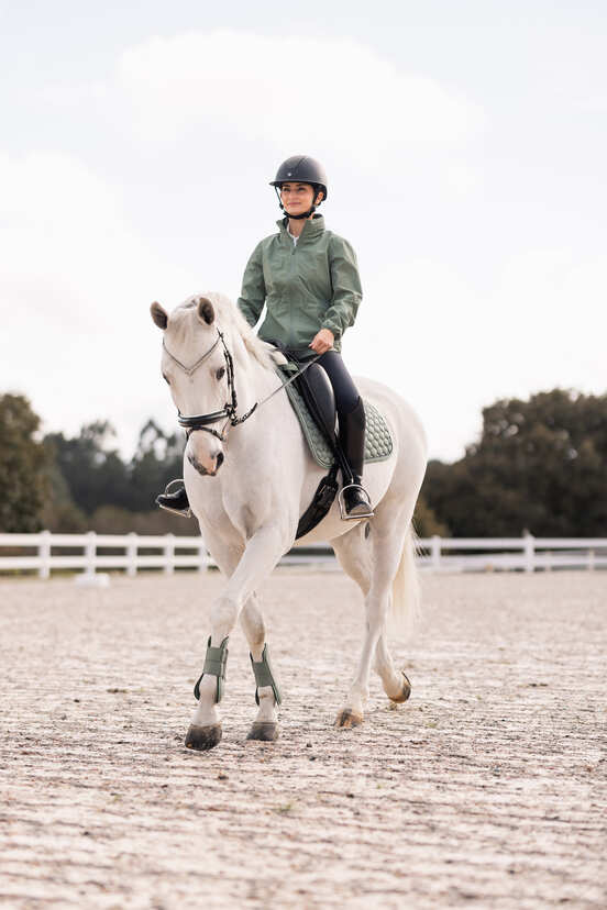 Sage Equestrian Elegance