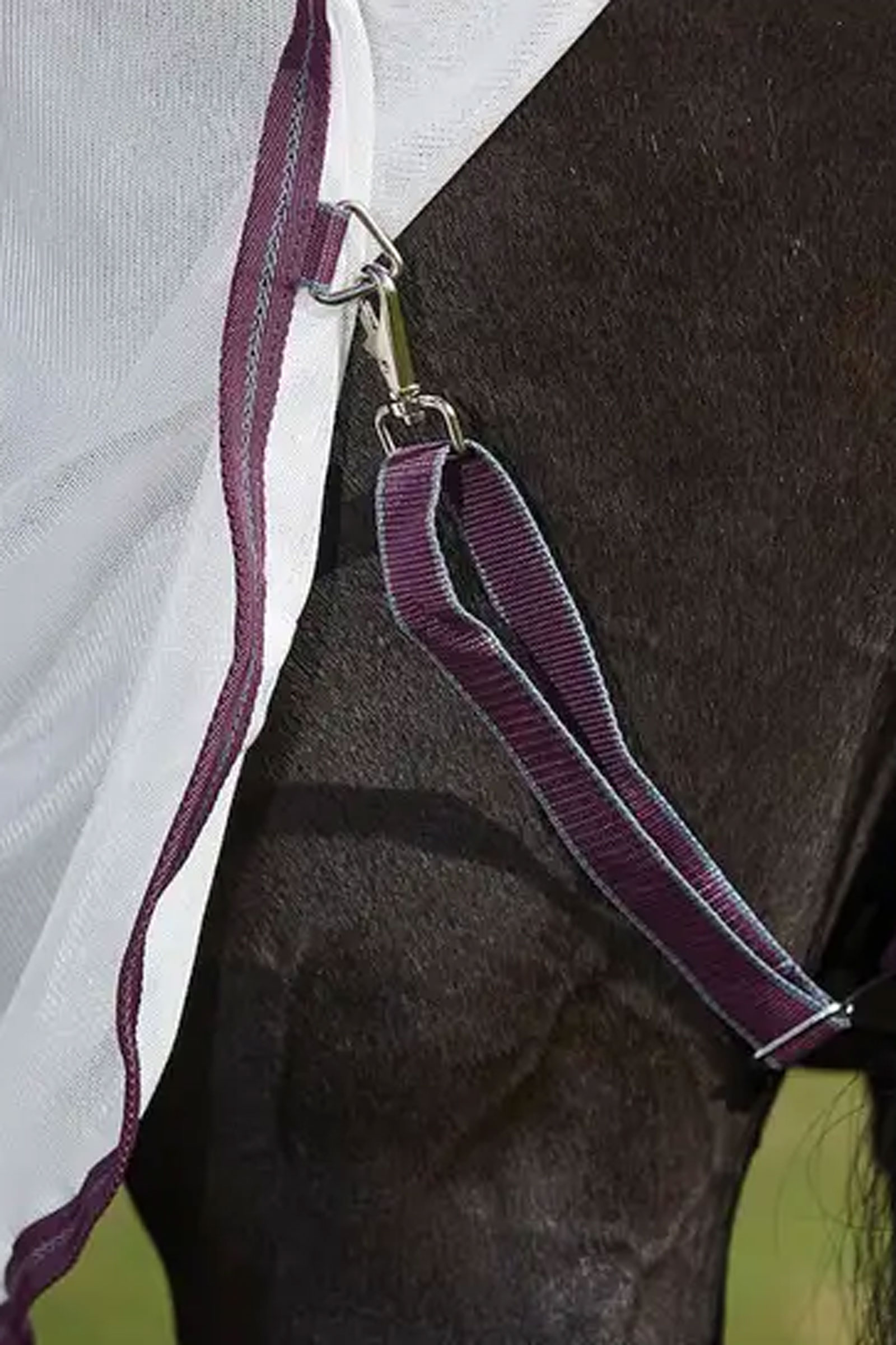 Weatherbeeta Comfitec Essential Mesh II Combo k&auml;rp&auml;sloimi kaulakappaleella