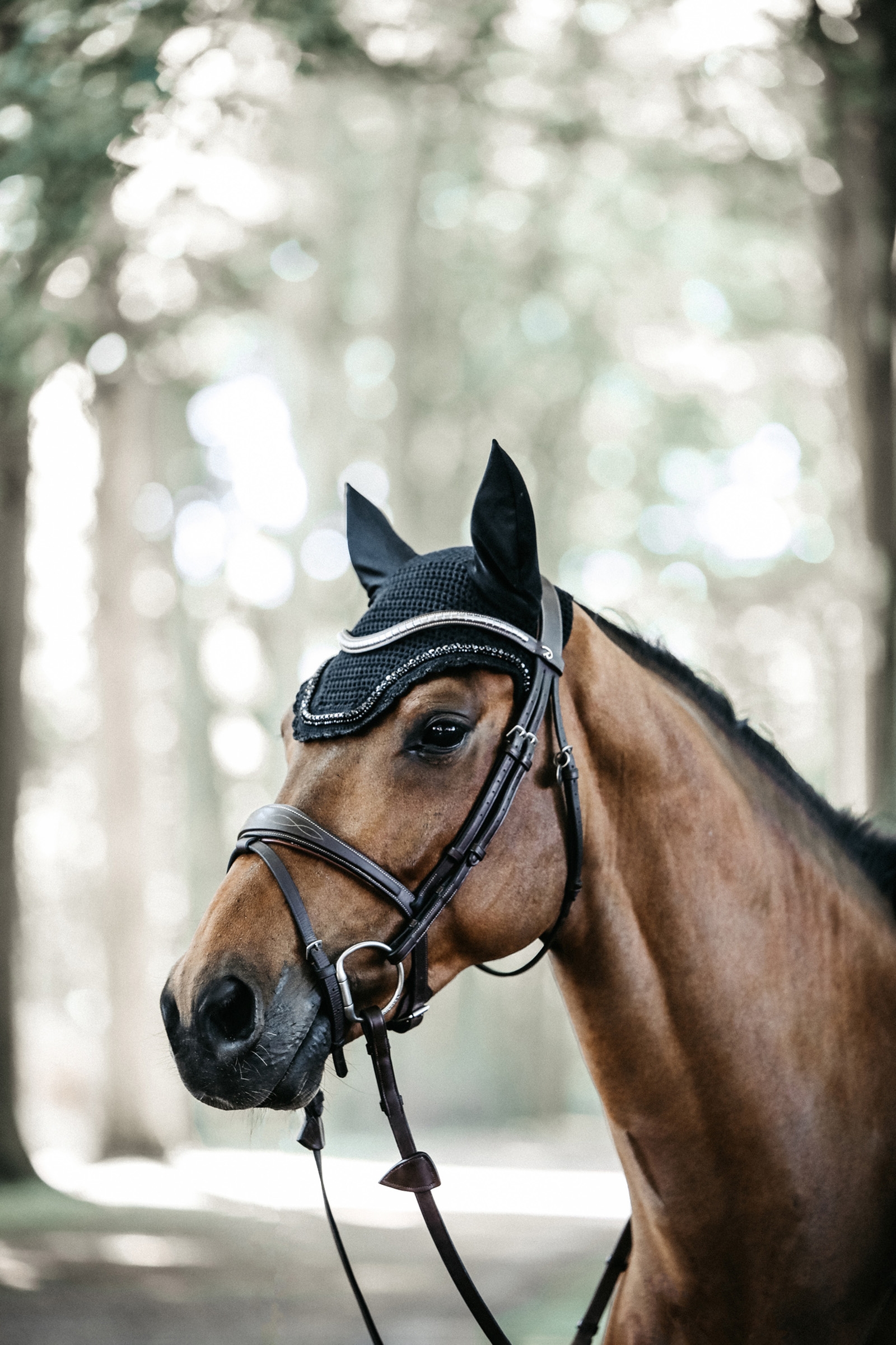 Kentucky Horsewear Wellington korvahuppu timanteilla ja helmillä
