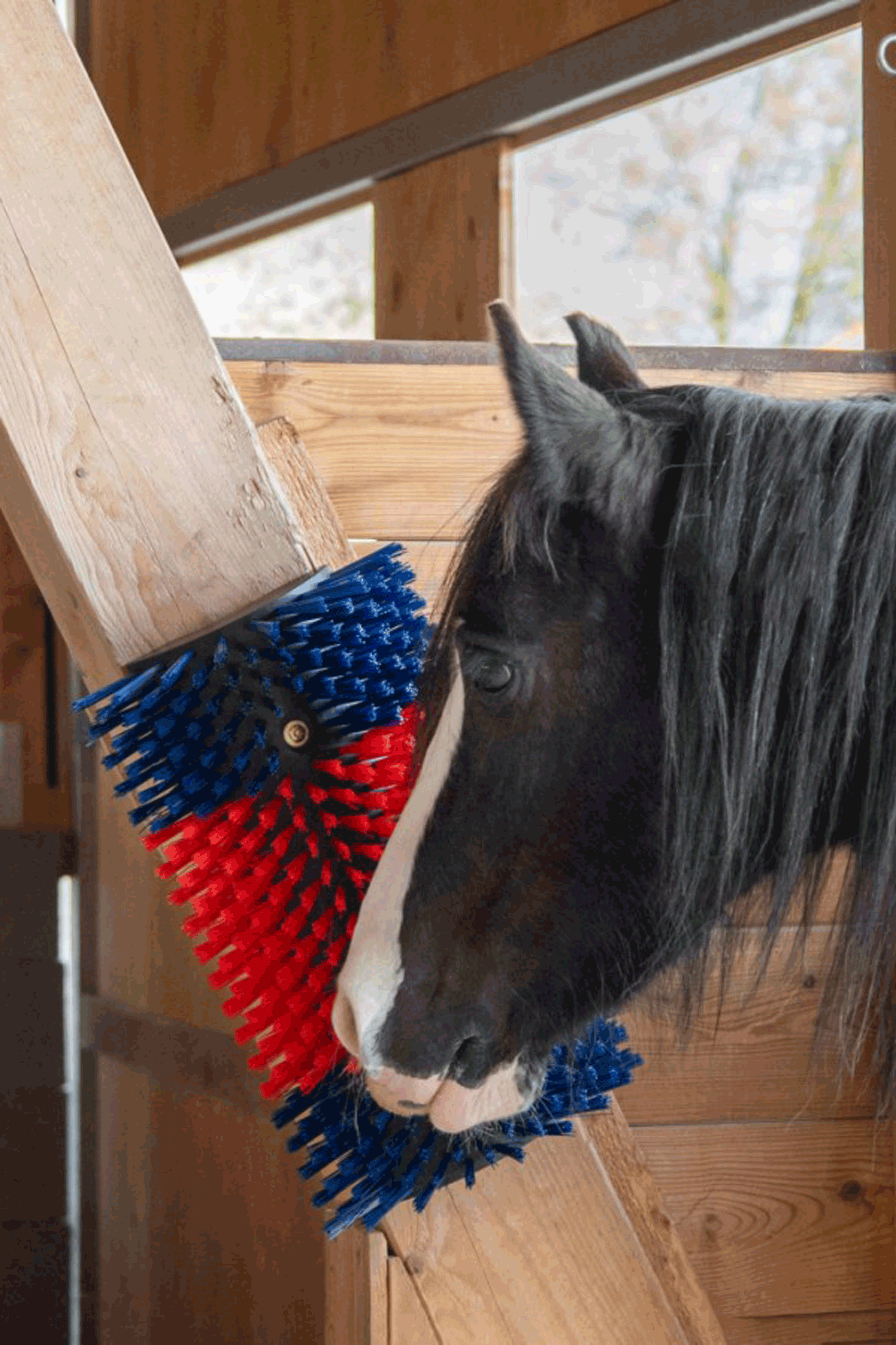 Kerbl XL raapimisharja, py&ouml;re&auml;