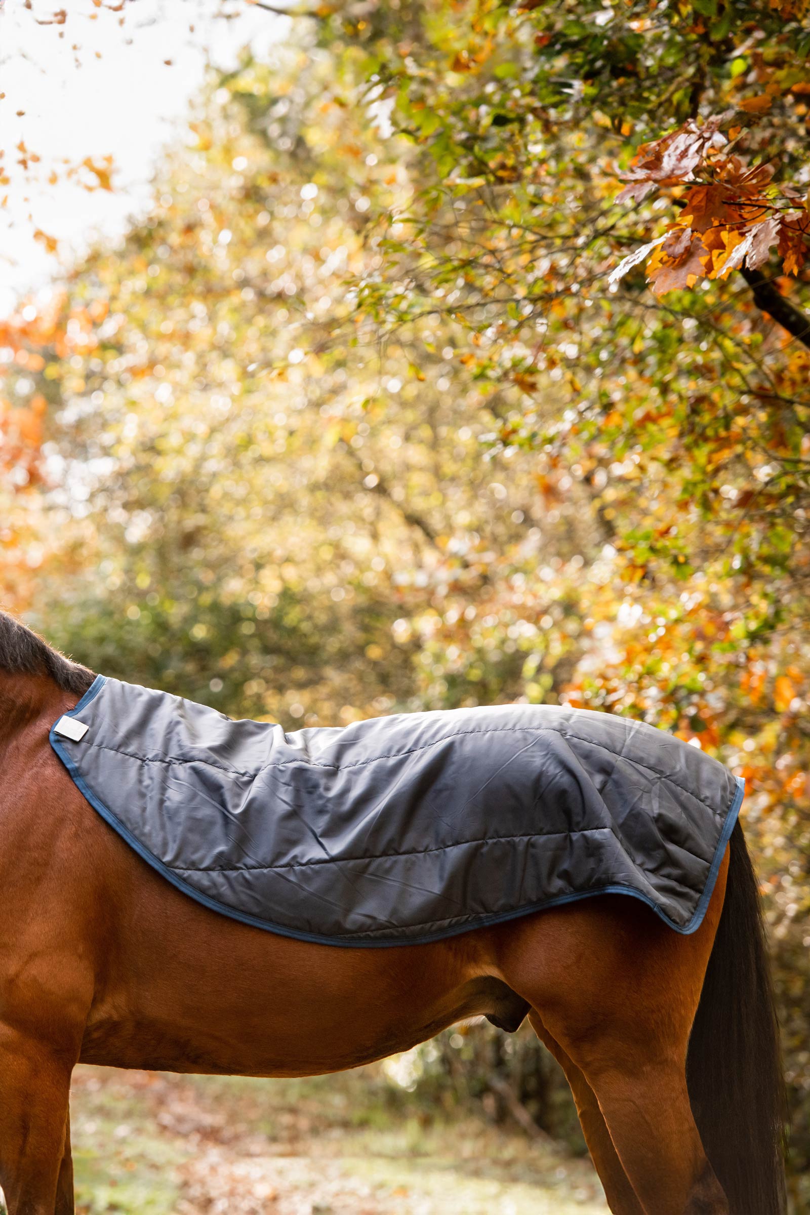 Horseware Rambo Autumn Series ulkoloimi alusloimella (0 g / 100 g)