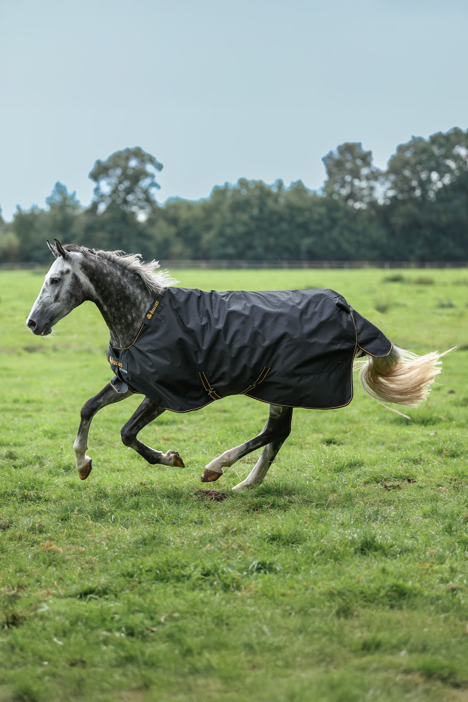 Bucas Irish ulkoloimi, 100 g