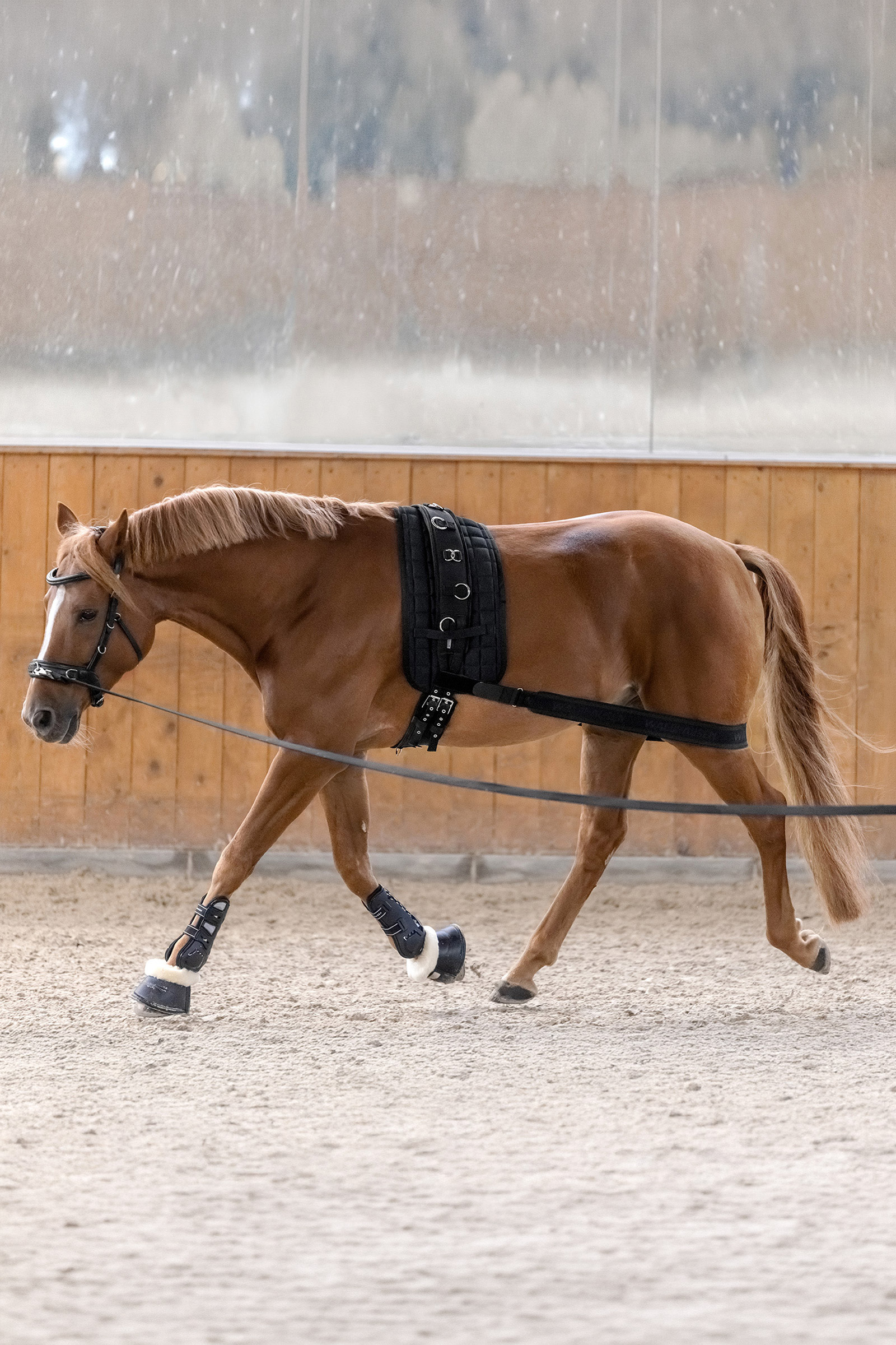 Waldhausen body side aktivointiside