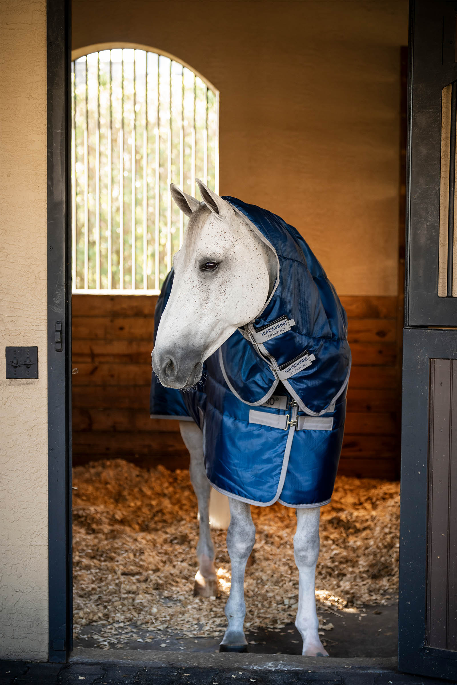 Horseware Amigo Ripstop Insulator Plus talliloimi, 350 g