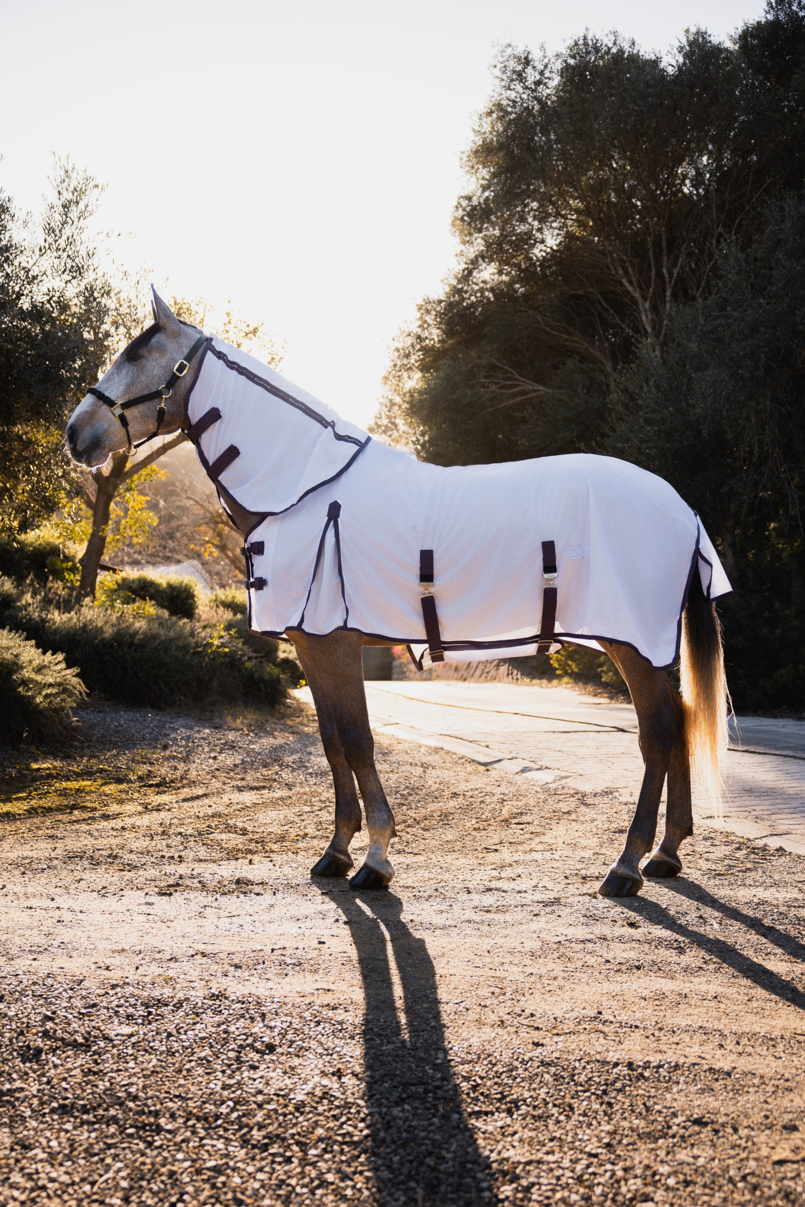 Horze La Paz hyönteissetti, sisältää loimen, irrotettavan kaulakappaleen ja hyönteismaskin