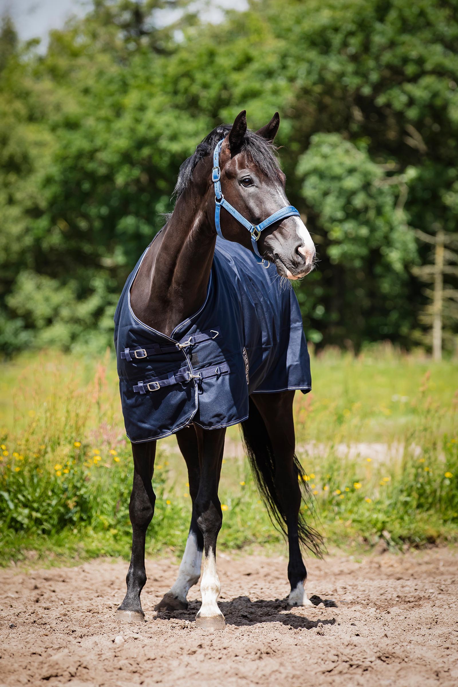 HorseGuard Landon 1200D Turnout Rug Standard Neck, 0 g