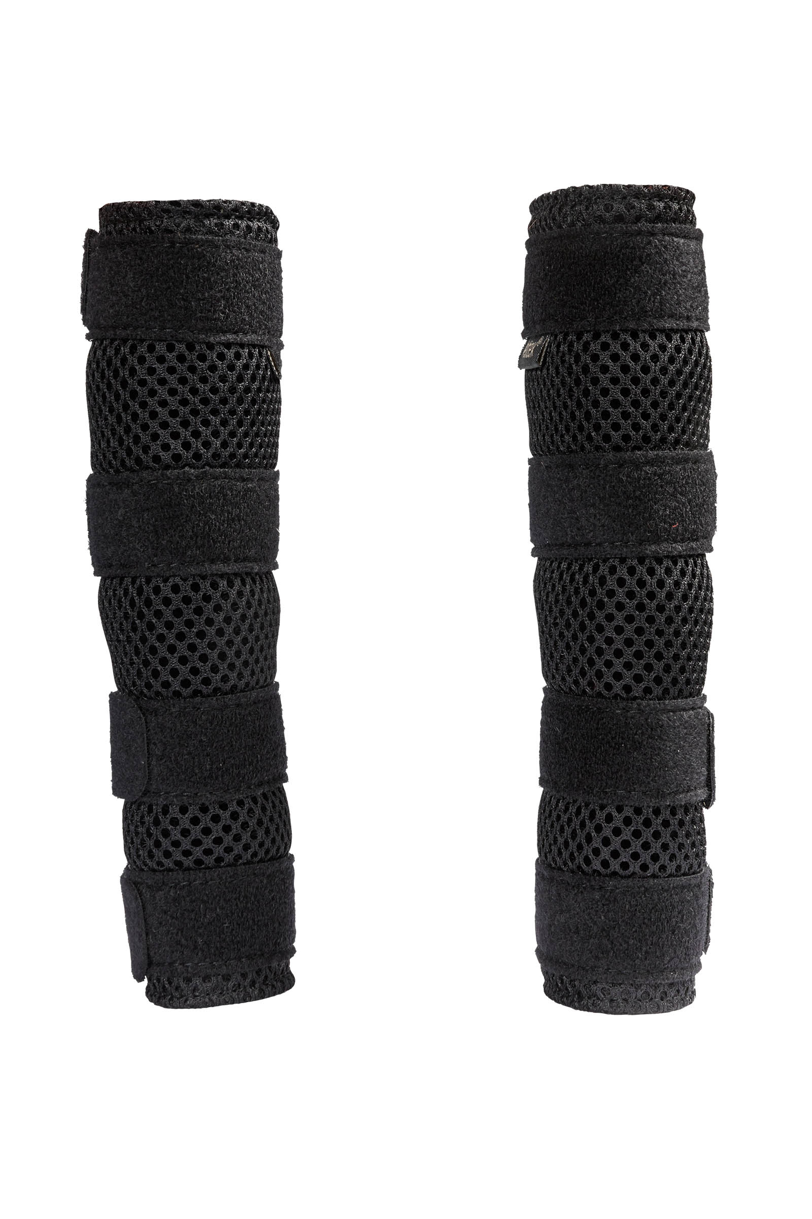 Back on Track Koiran kinnertuki Dixie