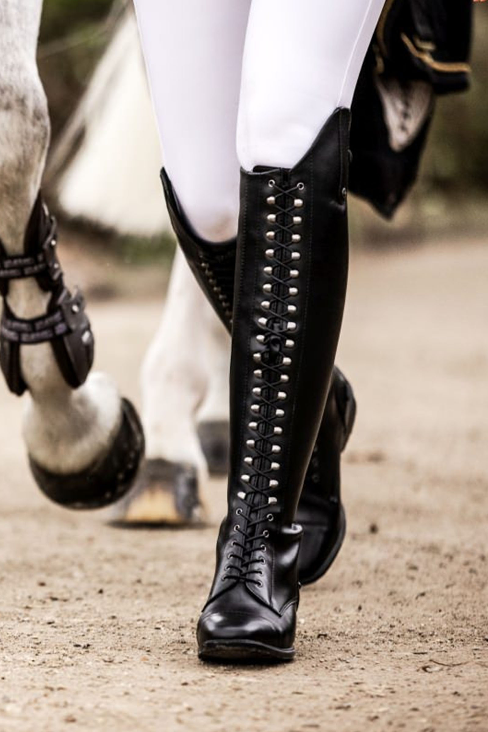 Suedwind Footwear Legacy Venado Vegan Lace Tall Riding Boots