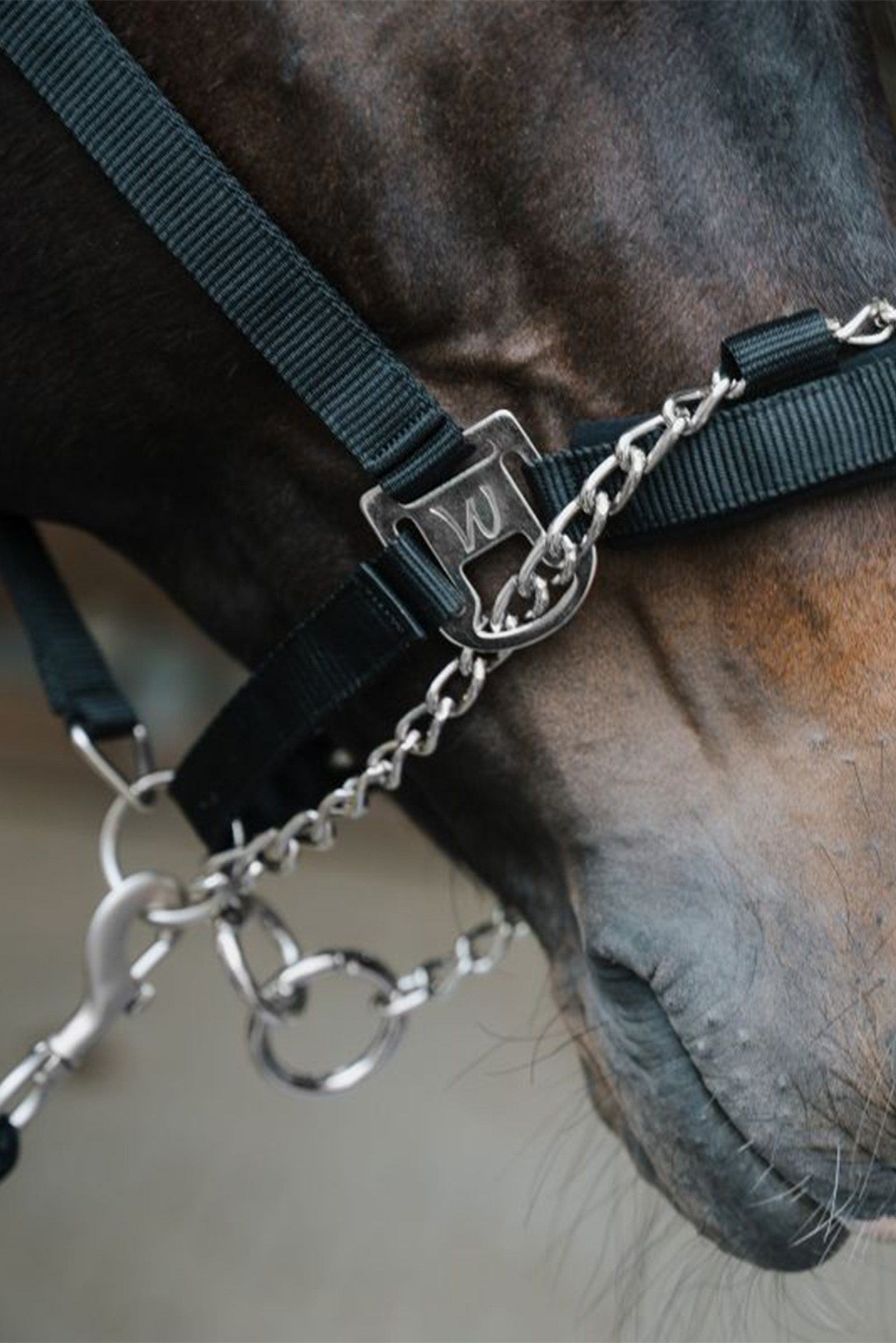 Waldhausen Pro Safety riimu