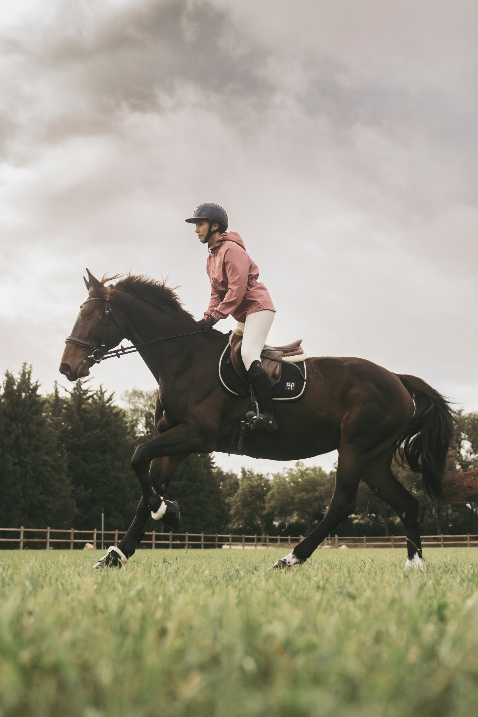 Horse Pilot Raintech naisten takki