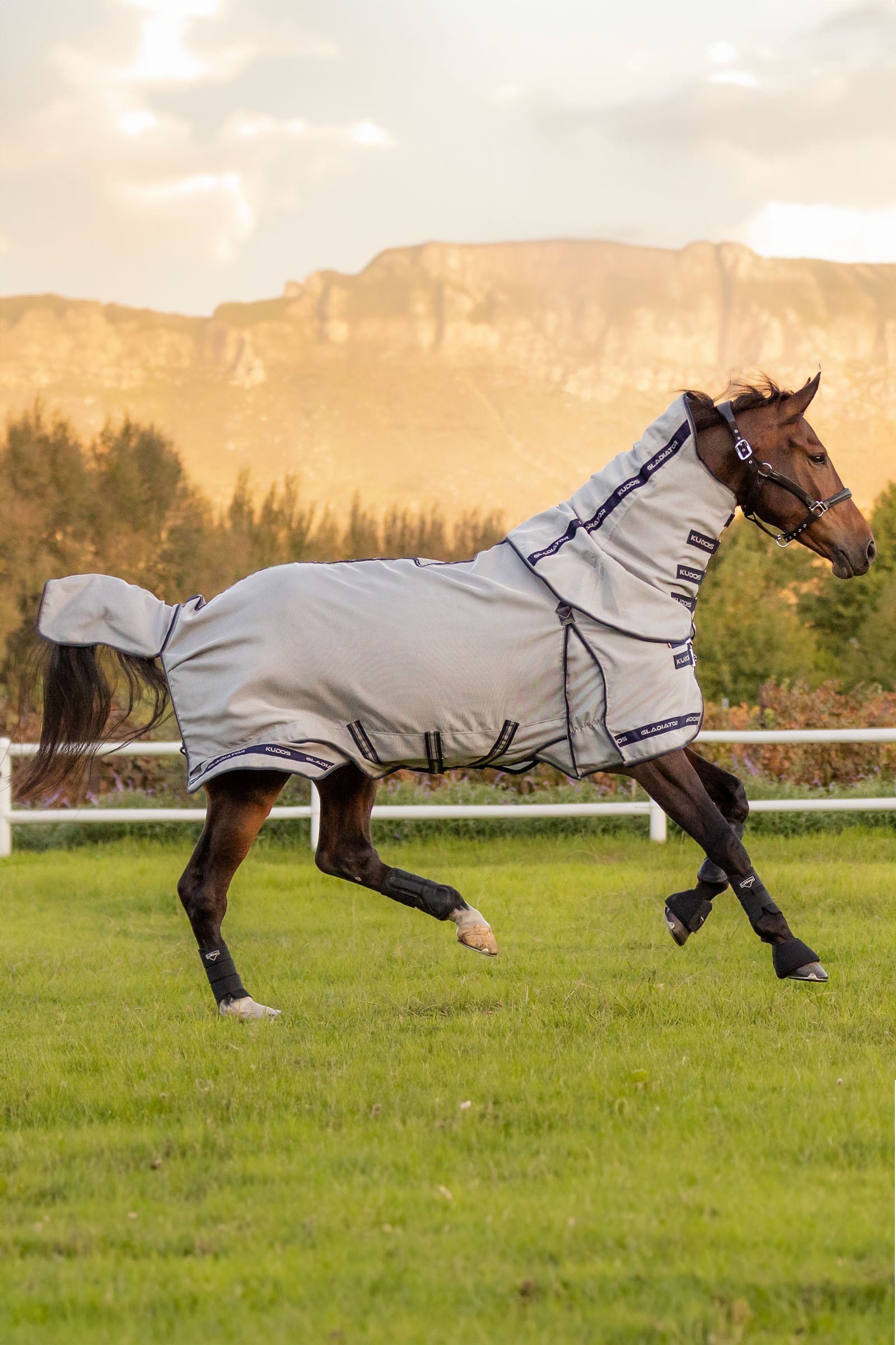 LeMieux Kudos Gladiator kärpässuoja loimi
