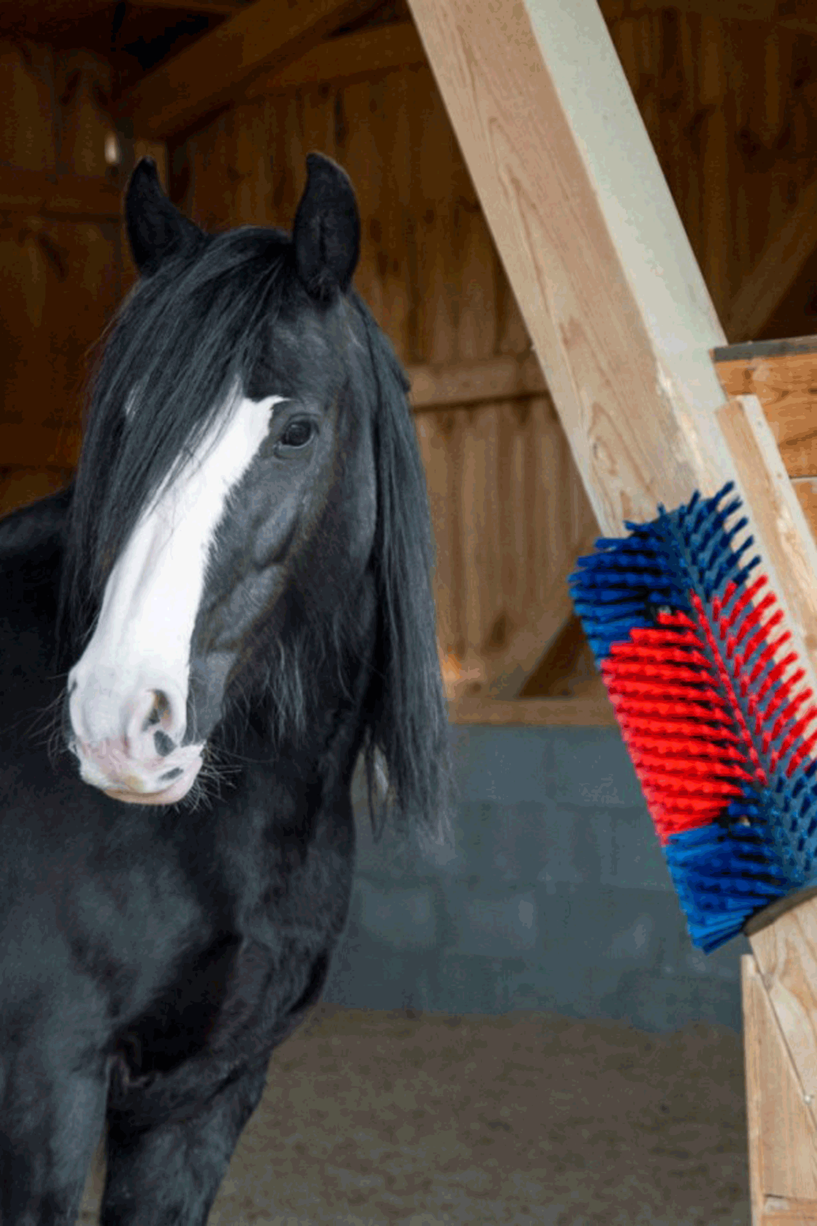 Kerbl XL raapimisharja, py&ouml;re&auml;