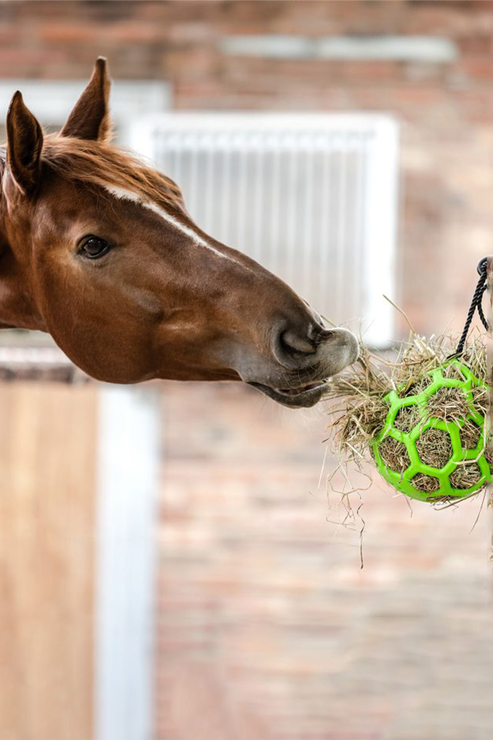 Waldhausen hein&auml;pallo