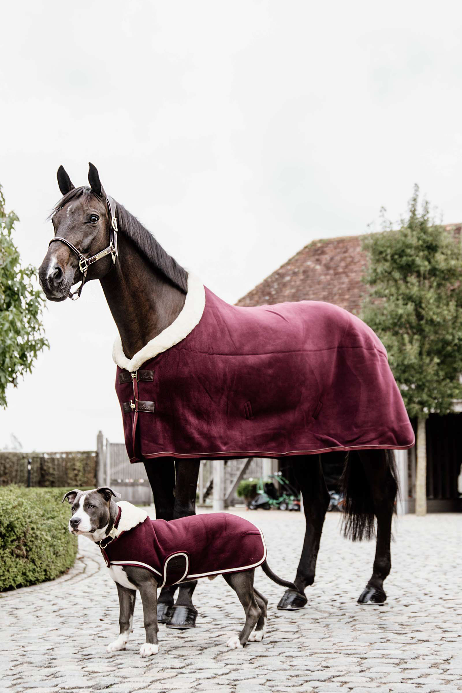 Kentucky Horsewear Fleece paksu kilpailuloimi