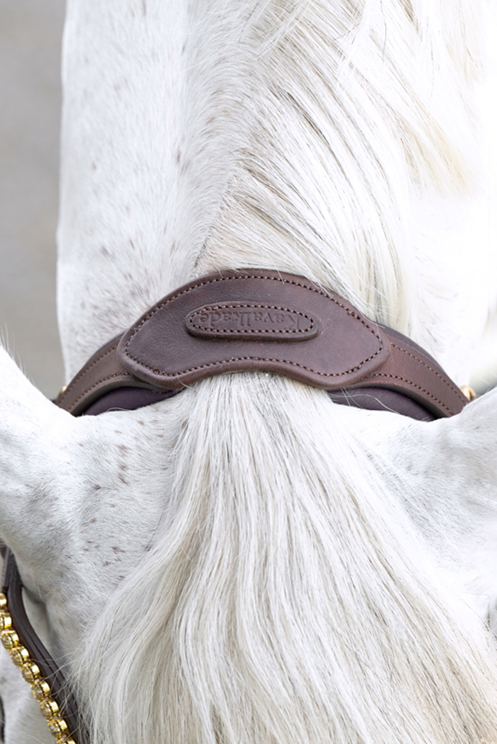 Kavalkade Caliano Englannin Kuolaimet