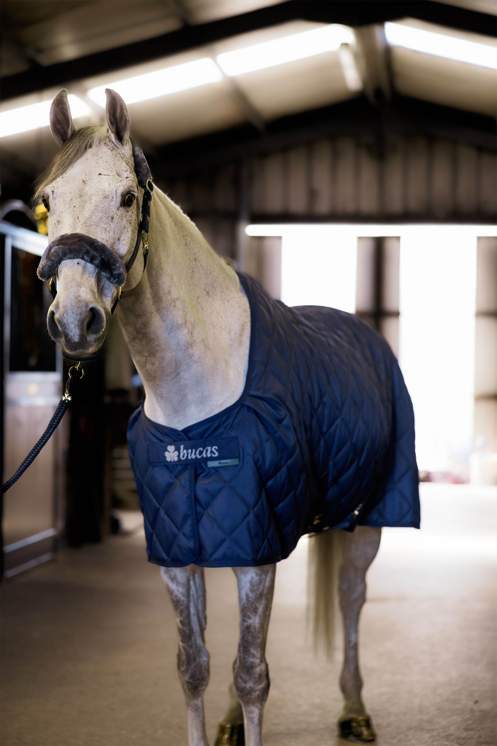 Bucas Cosy Vakaa matto