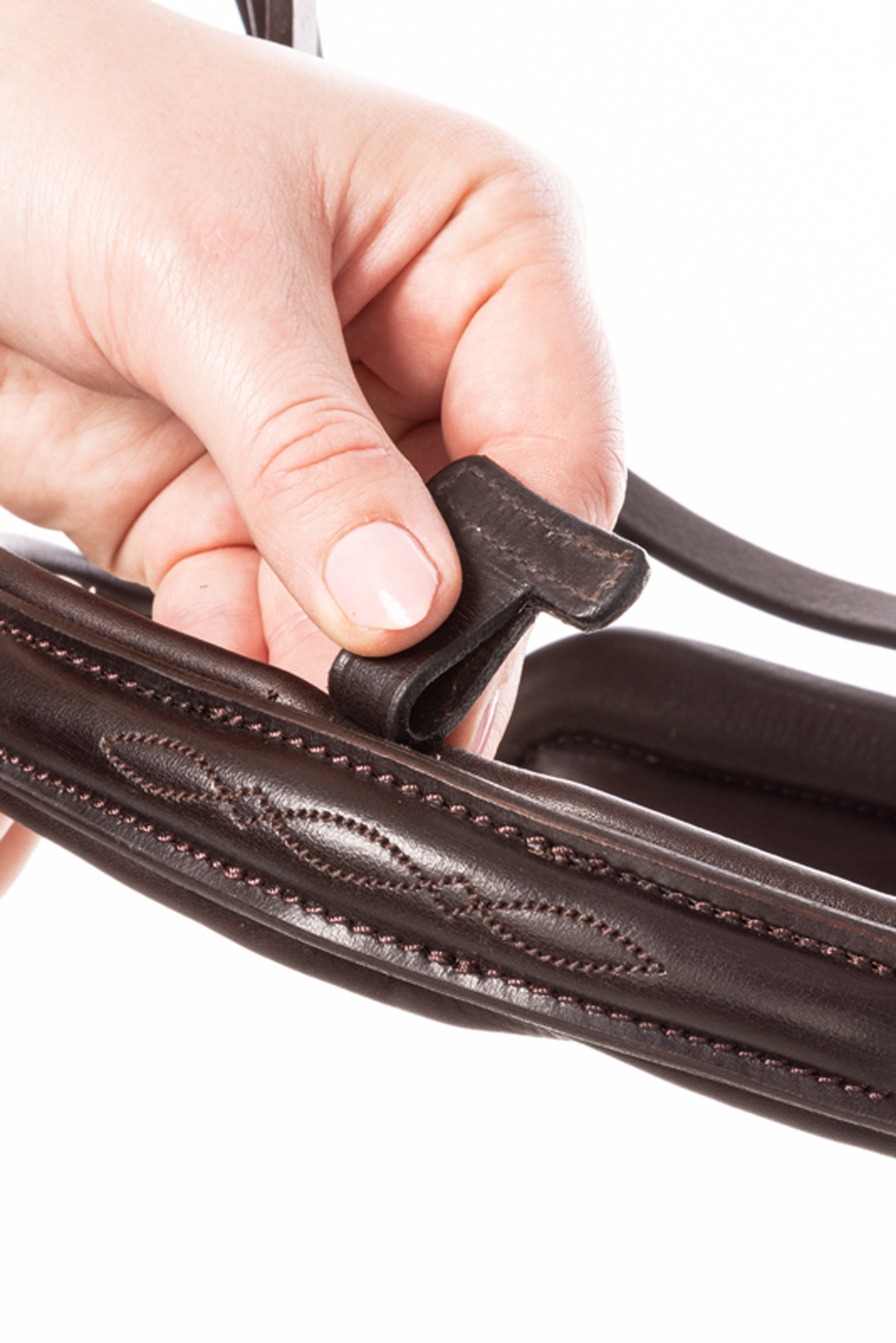 Kavalkade Robin Englannin Kuolaimet