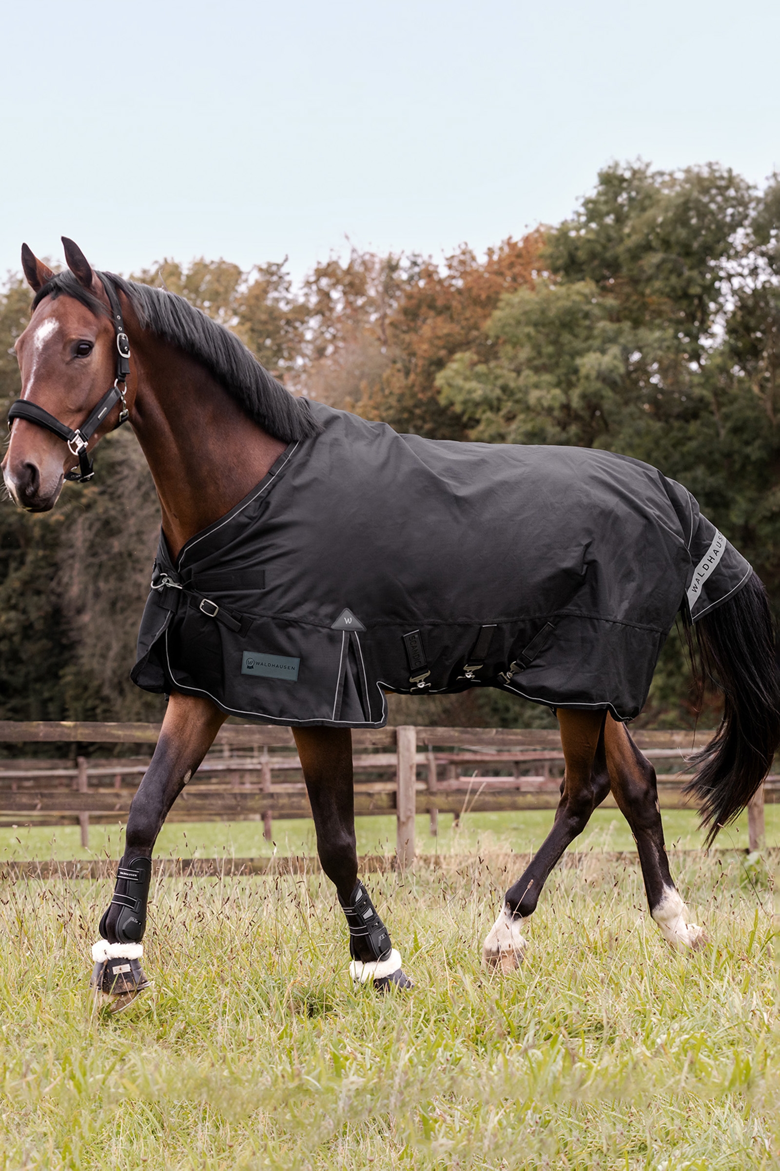 Waldhausen ulkoloimi Scandic monikerroksinen 250 g/100 g