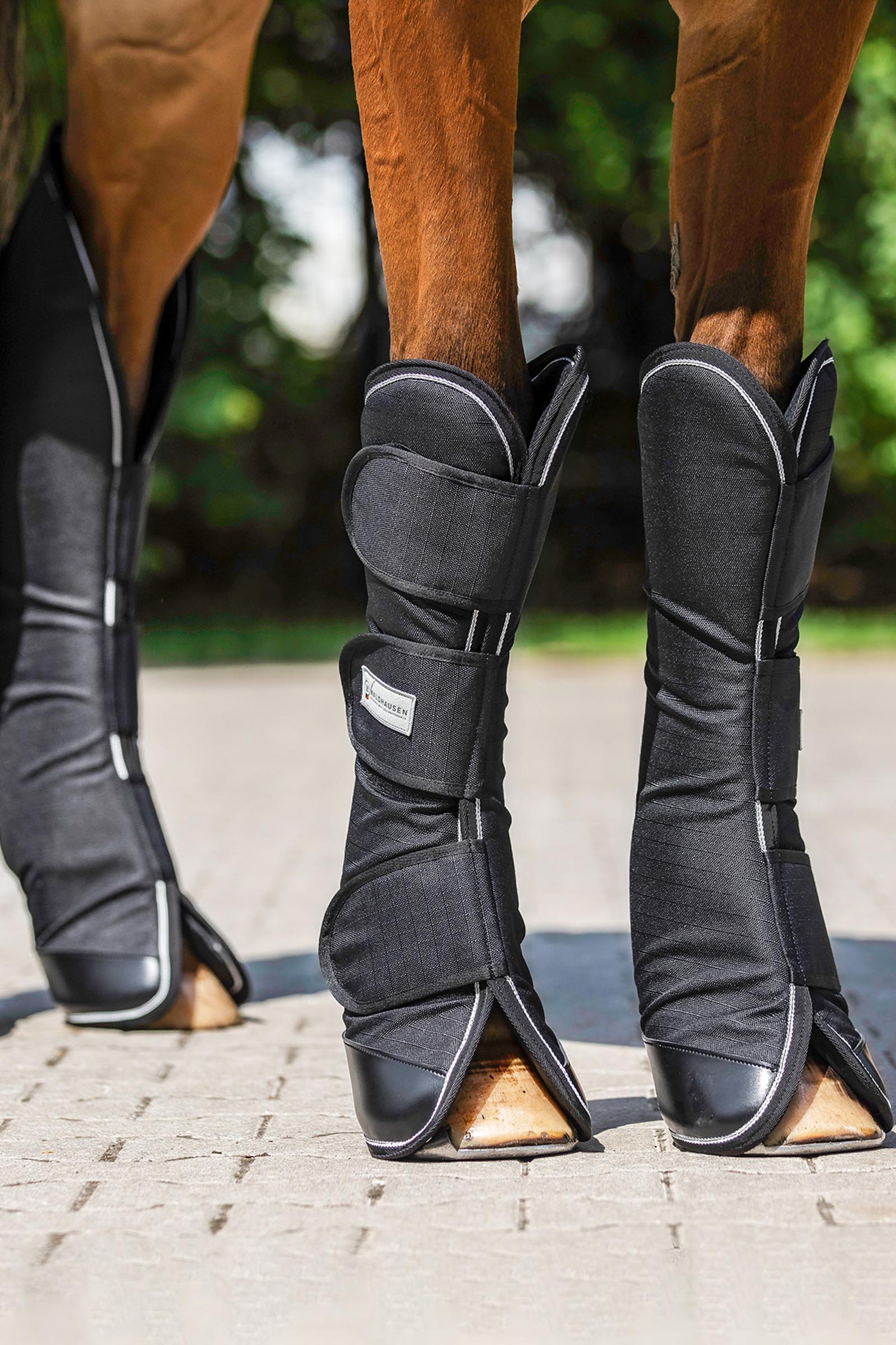 Waldhausen Comfort Line kuljetussuojat (4 kpl:n setti)