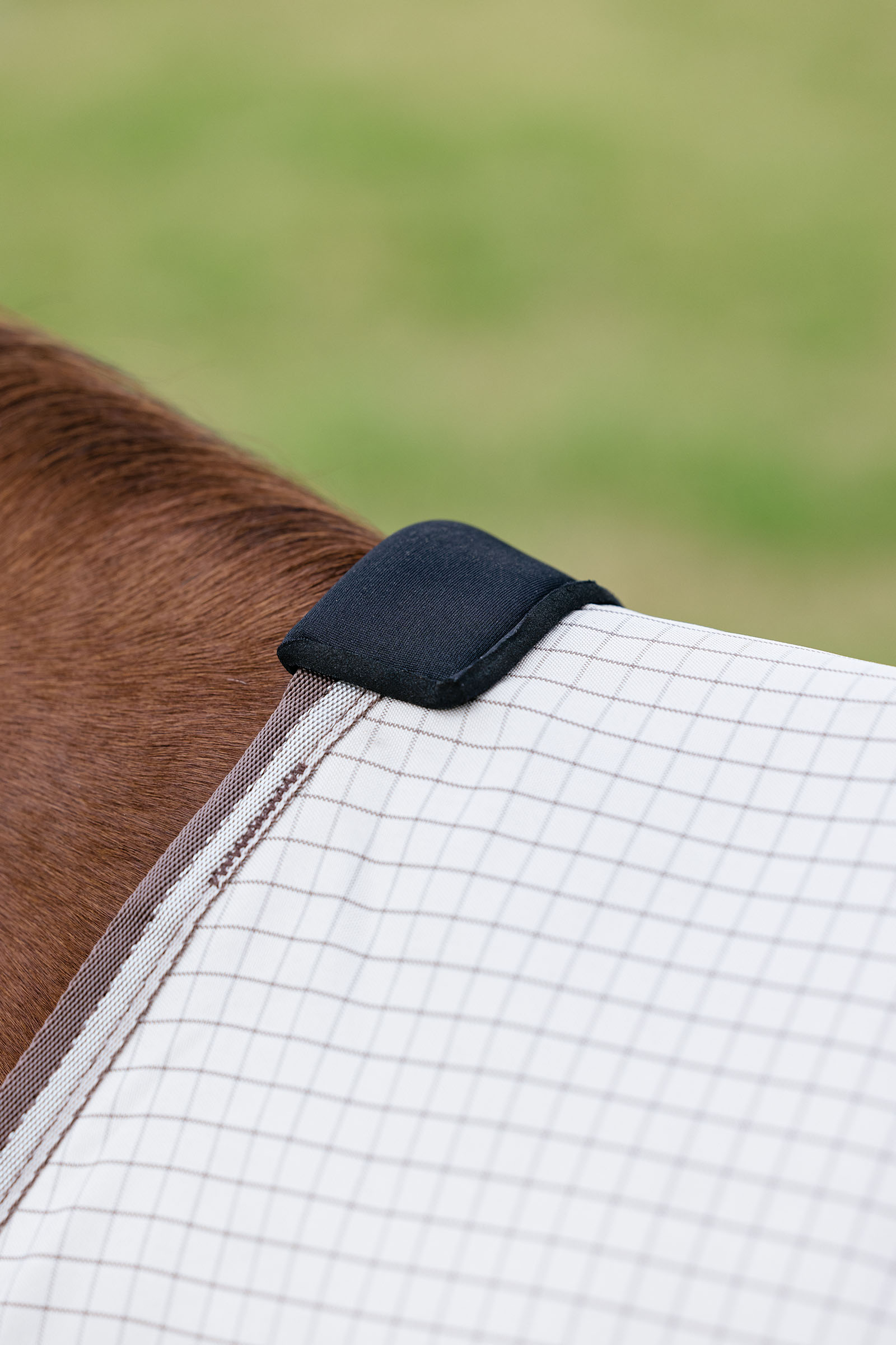 LeMieux Arika 450D Sunstopper ulkoloimi irrotettavalla kaulaosalla, 0 g