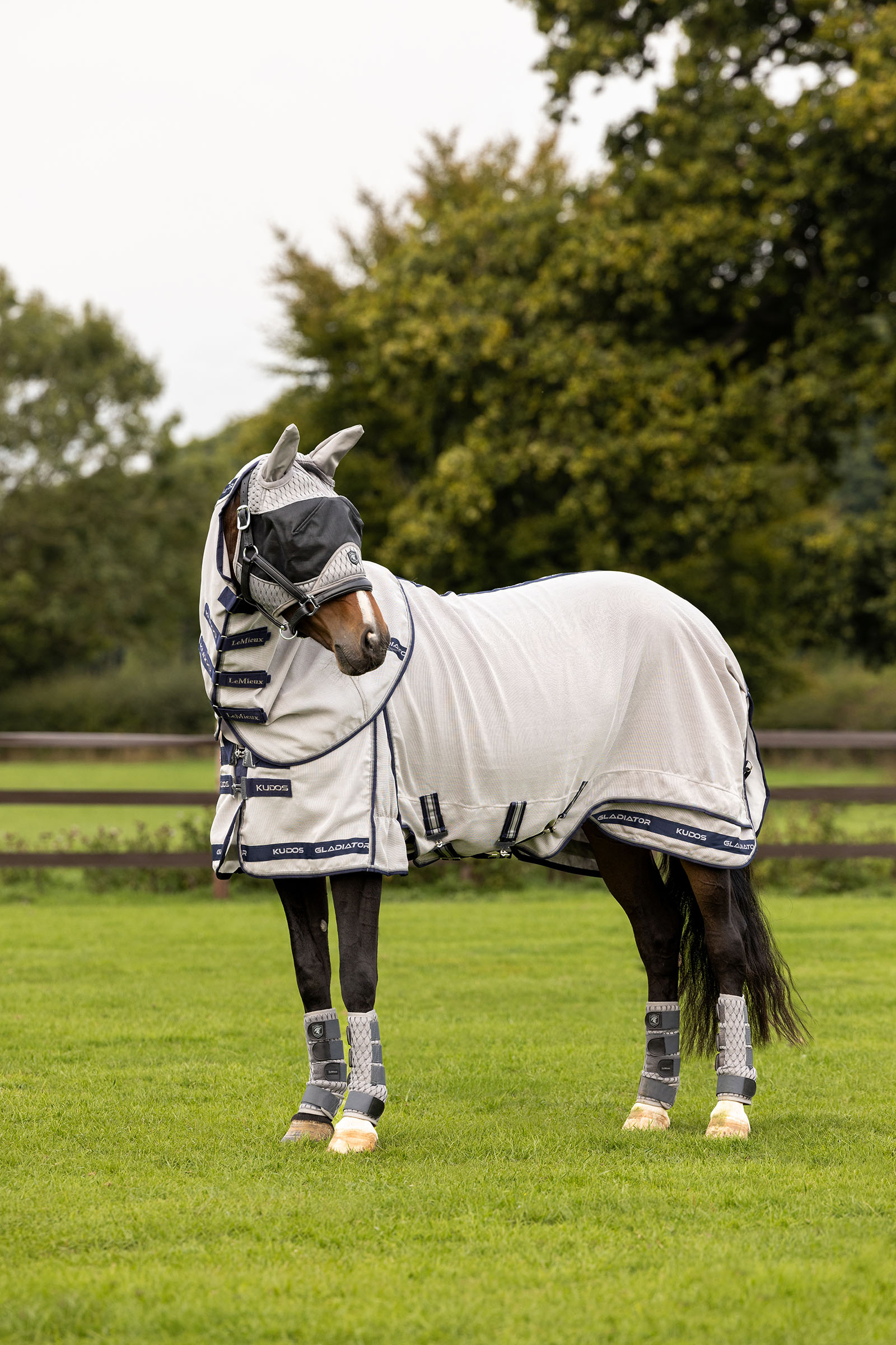 LeMieux Kudos Gladiator kärpässuoja loimi