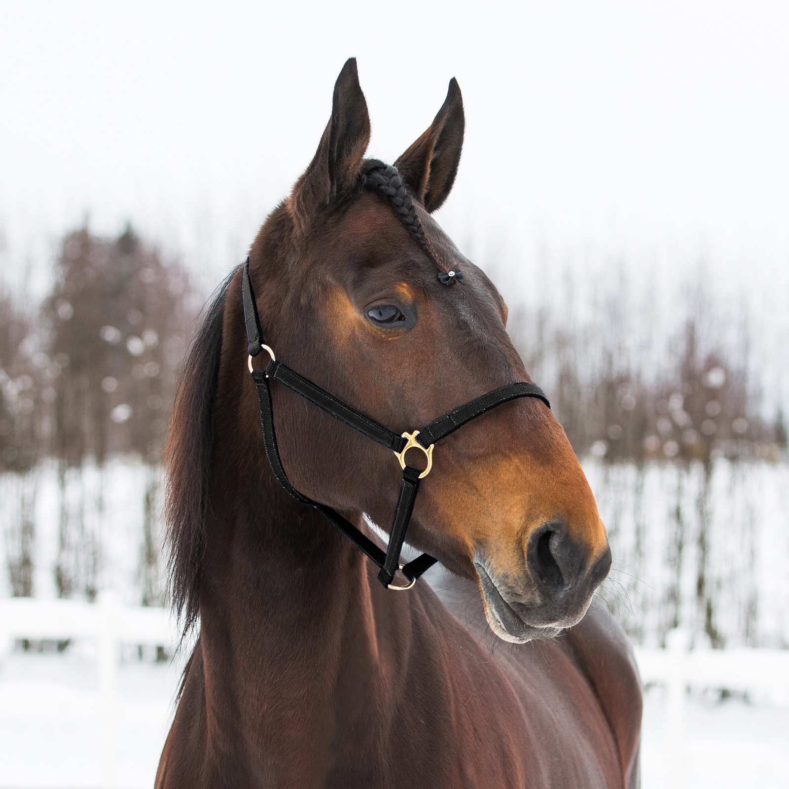 Black Finntack Pro jenkkiriimu, nailonia