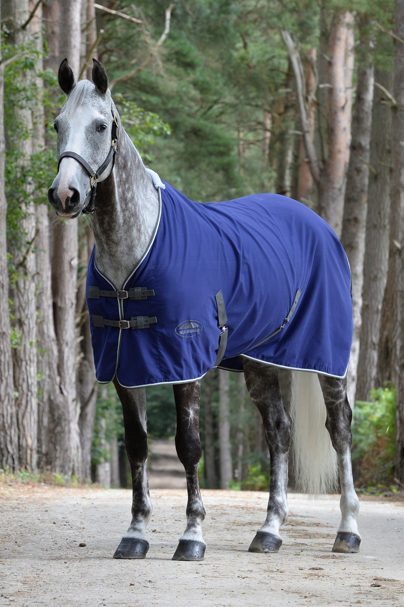 Weatherbeeta Cotton Show loimi