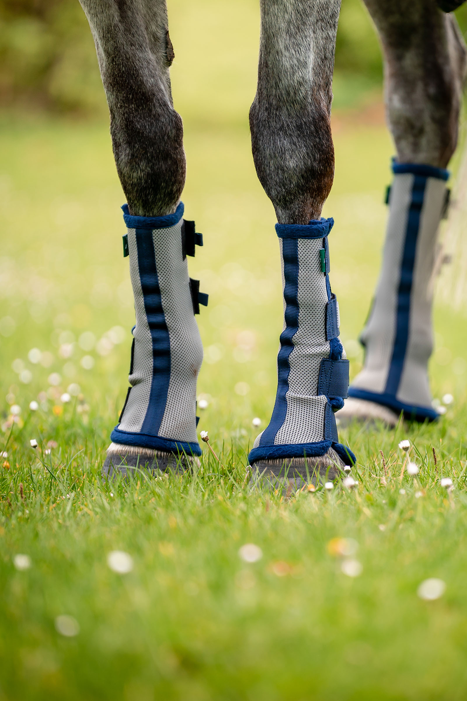 Horseware Fly Boots - 2 kpl:n setti