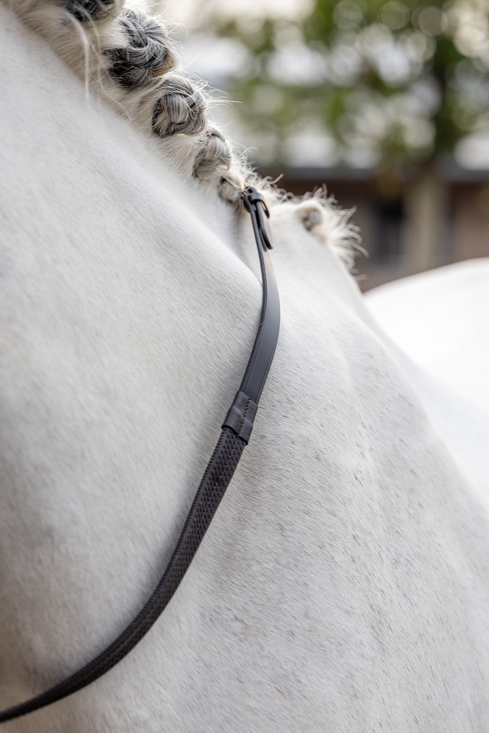 Brown/Brown LeMieux Rubber Reins