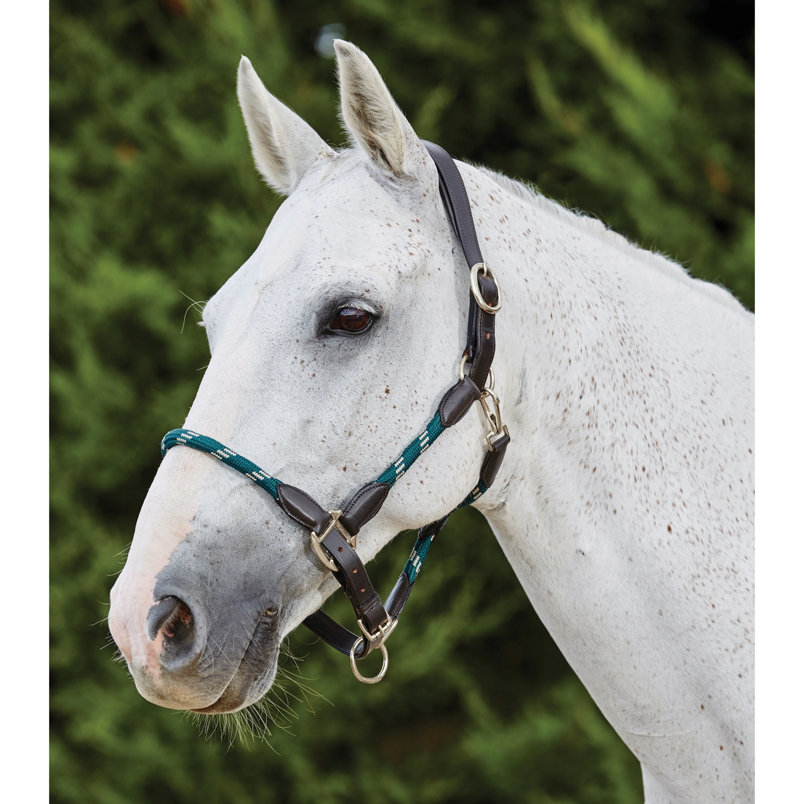 Hunter Green/Brown Kincade-nahka/naruriimu