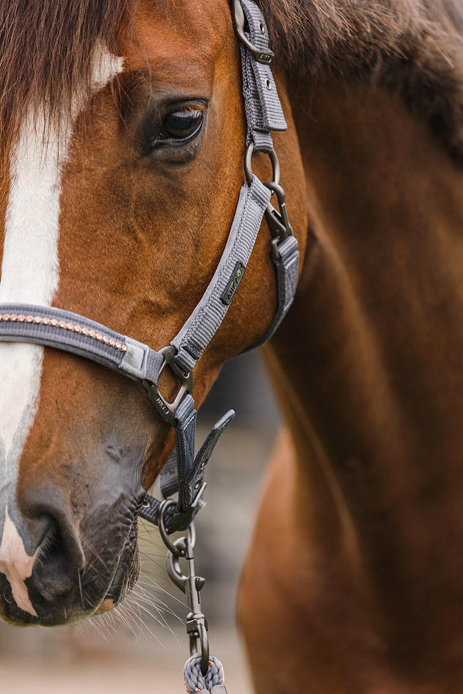 ANKY Stones Riimu ja Riimunnaru Setti