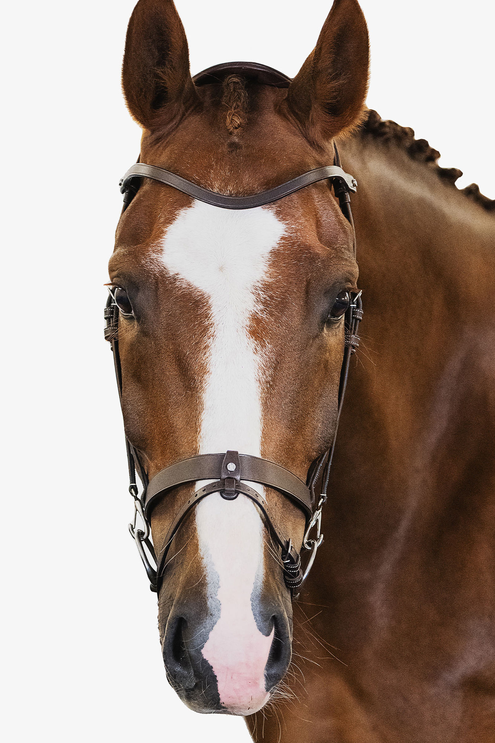 PS of Sweden Lontoon Bridle