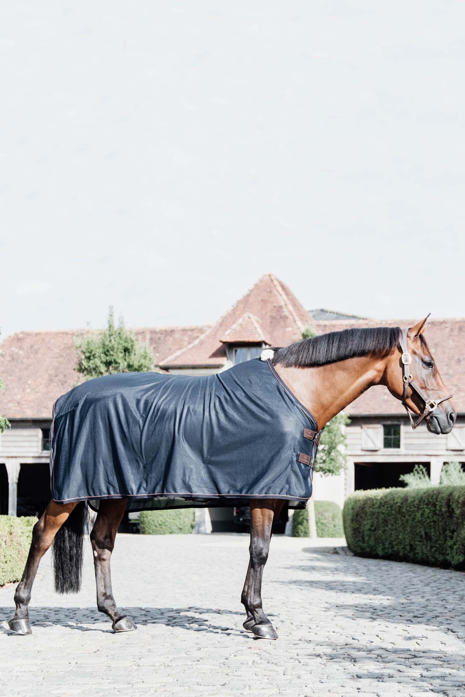 Kentucky Horsewear verkkoloimi kärpässuoja