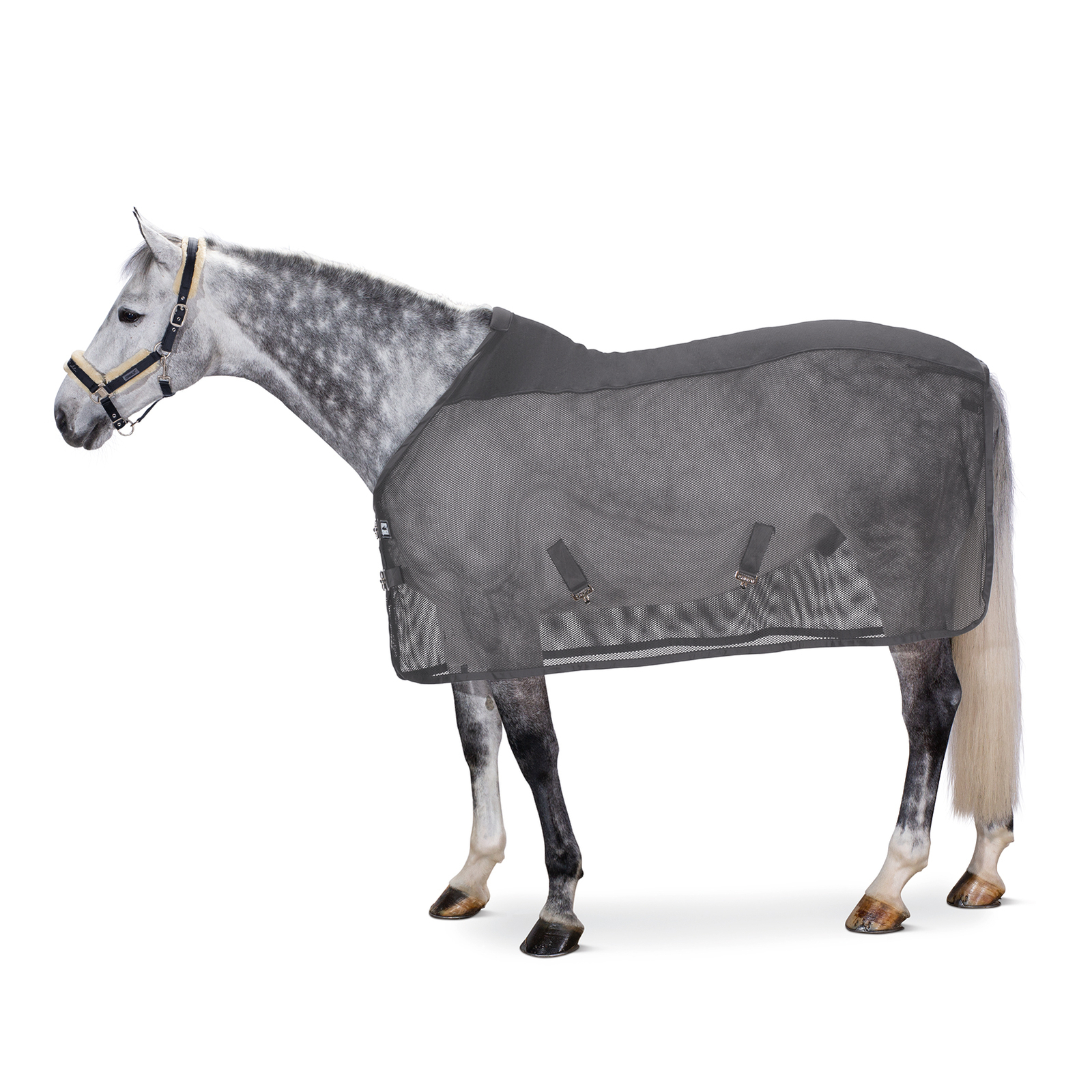 Anthracite Eskadron Pro Cover Dura kärpäsloimi