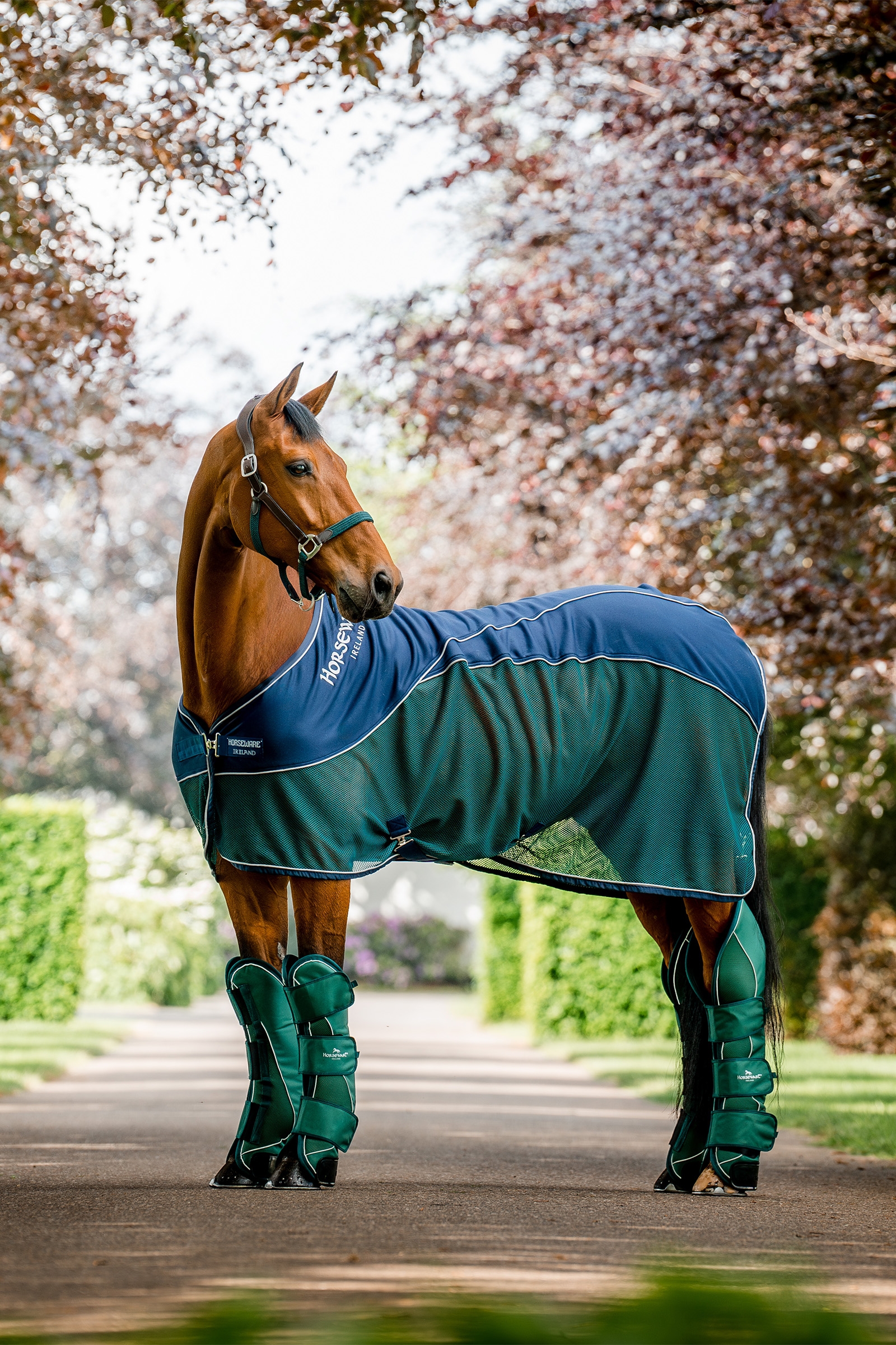 Horseware Signature Kuljetussuojat