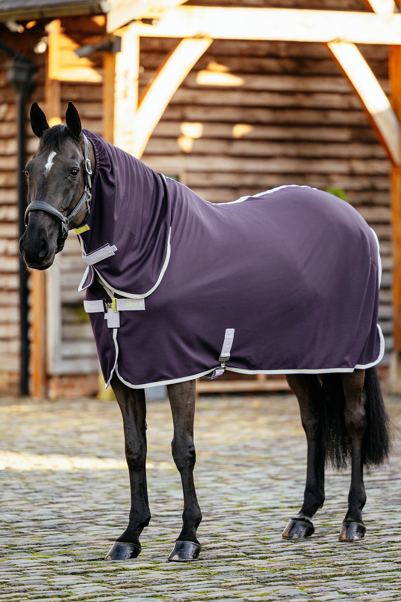 Juniper LeMieux Arika DryEase Rug