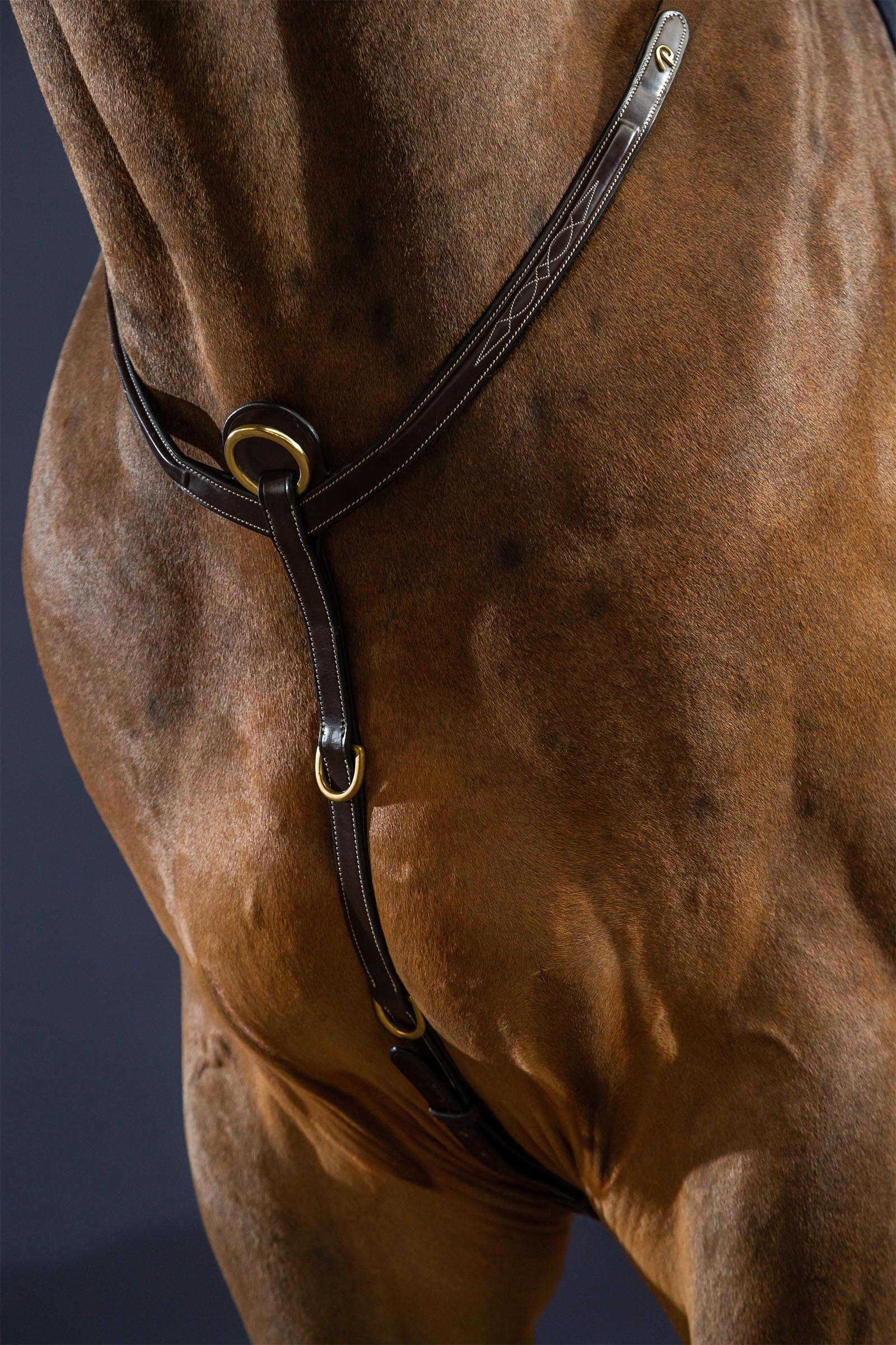 Dy'on D Collection rintaremmi sillalla