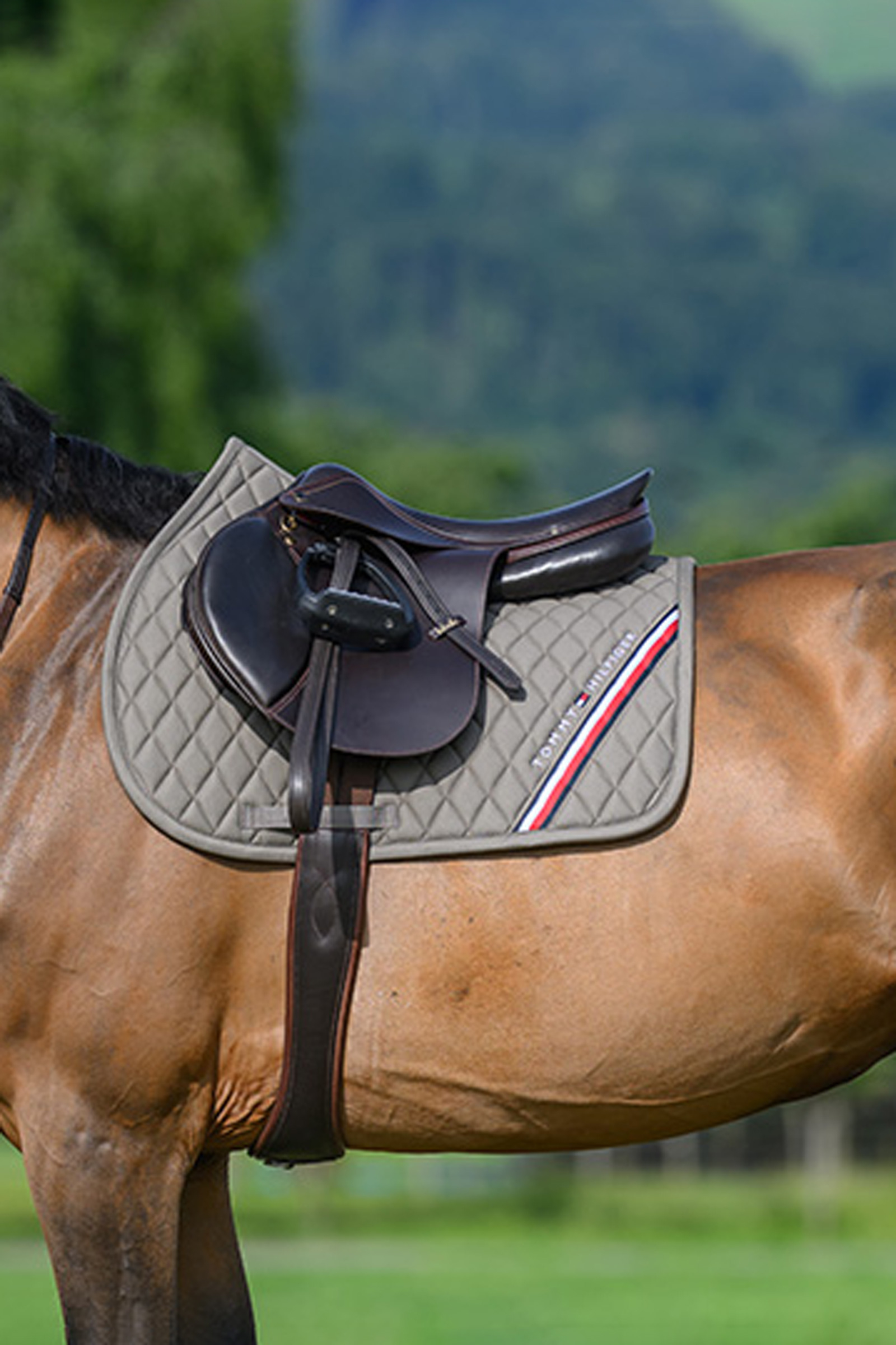 Ash Tommy Hilfiger Equestrian Stanford estesatulan huopa