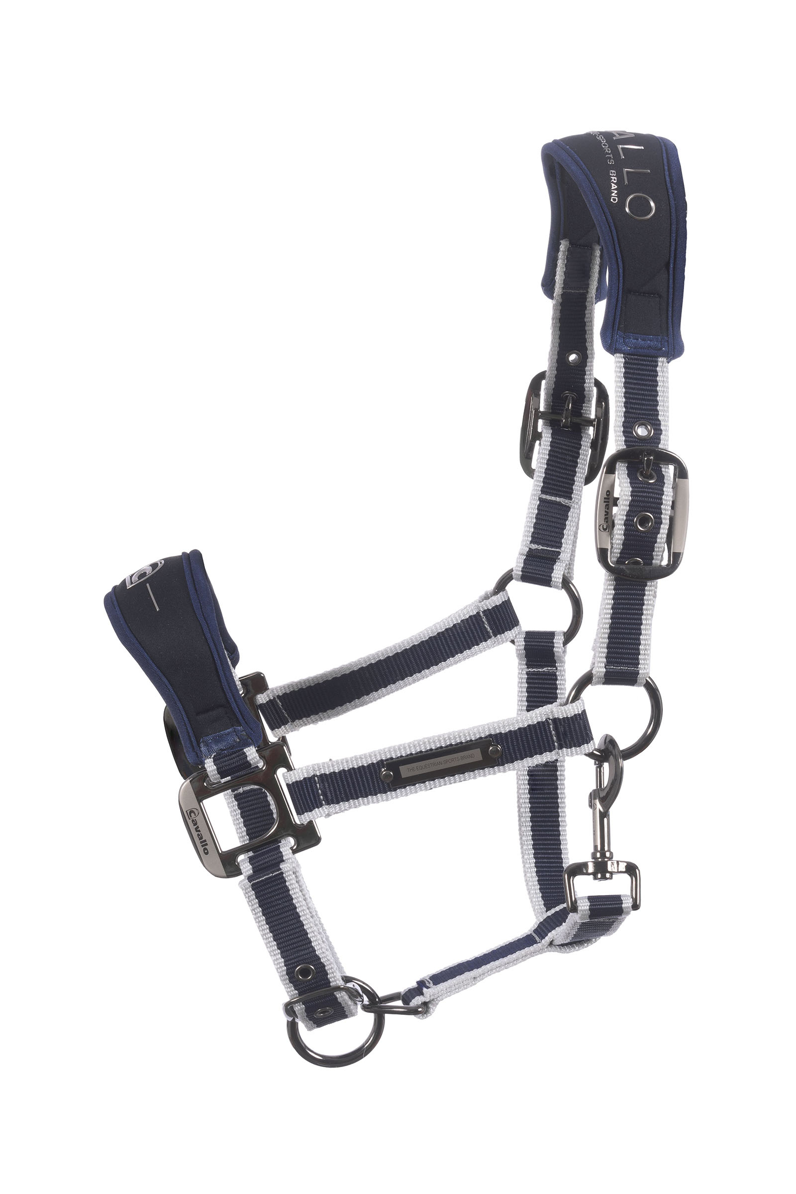 darkblue Cavallo CavalSoft Softshell riimu