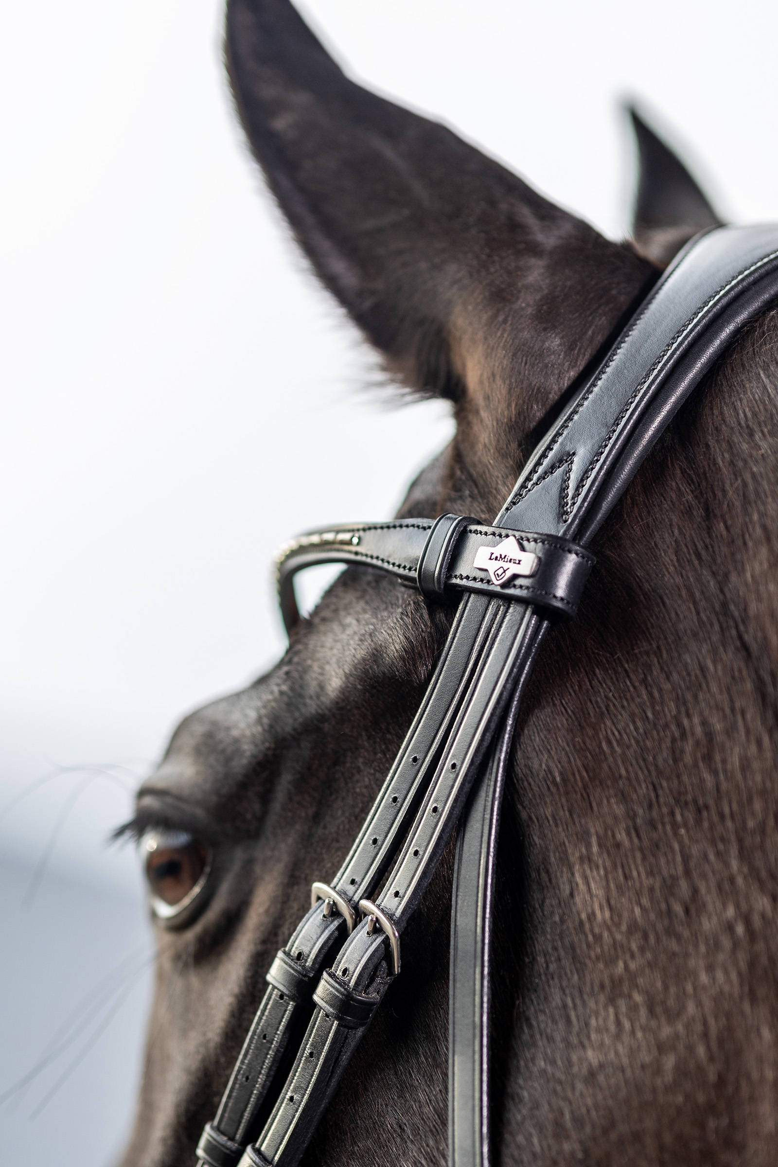 LeMieux Kudos Classic Dressage Bridle