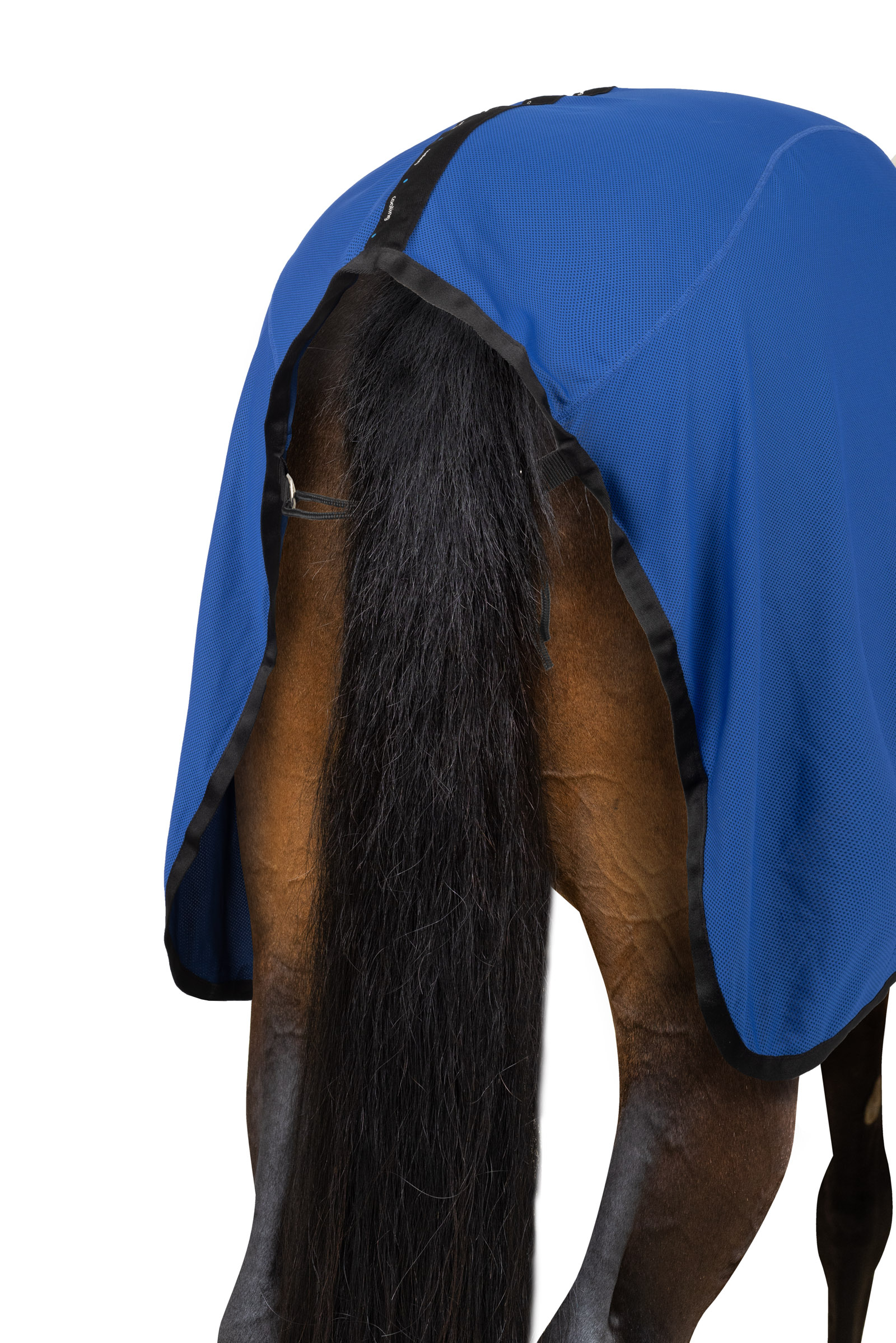 Horze LIMITED EDITION viilentävä loimi