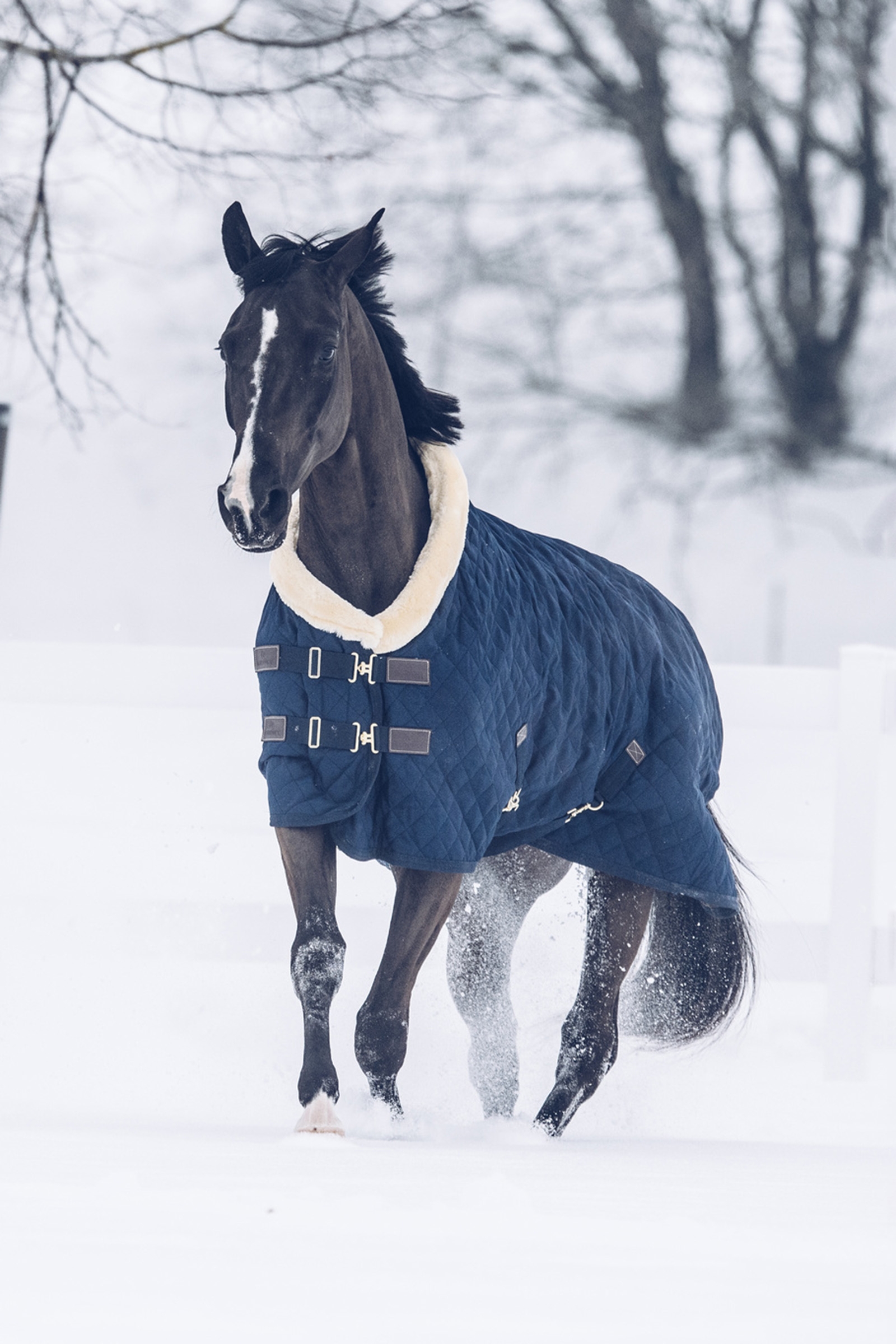 Kentucky Horsewear kilpailuloimi, 160 g