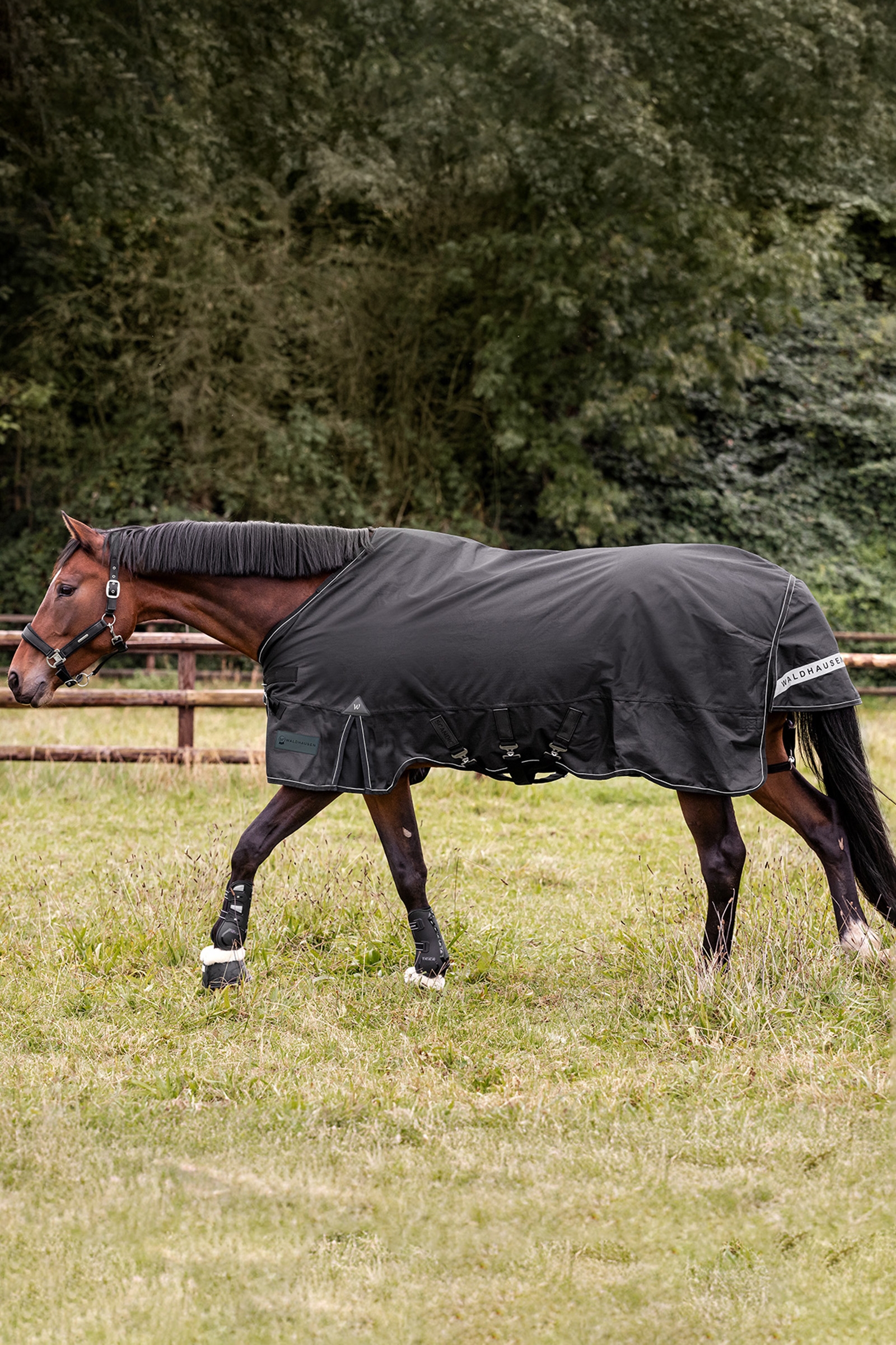 Waldhausen ulkomatto Scandic Light