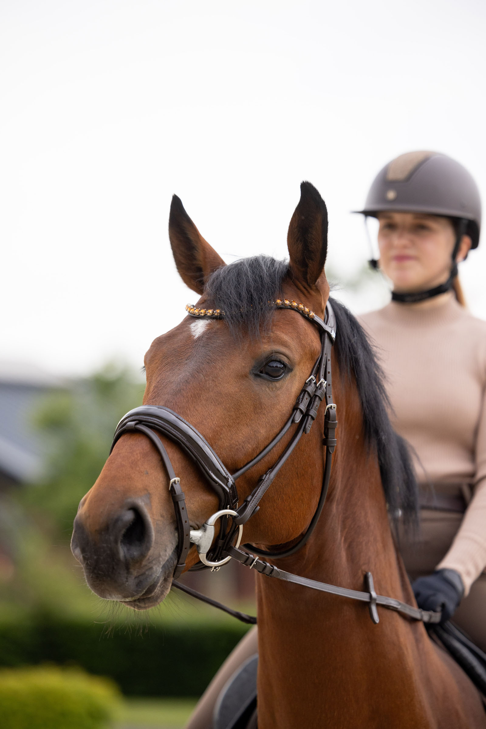 Horze Clermont anatomiset suitset